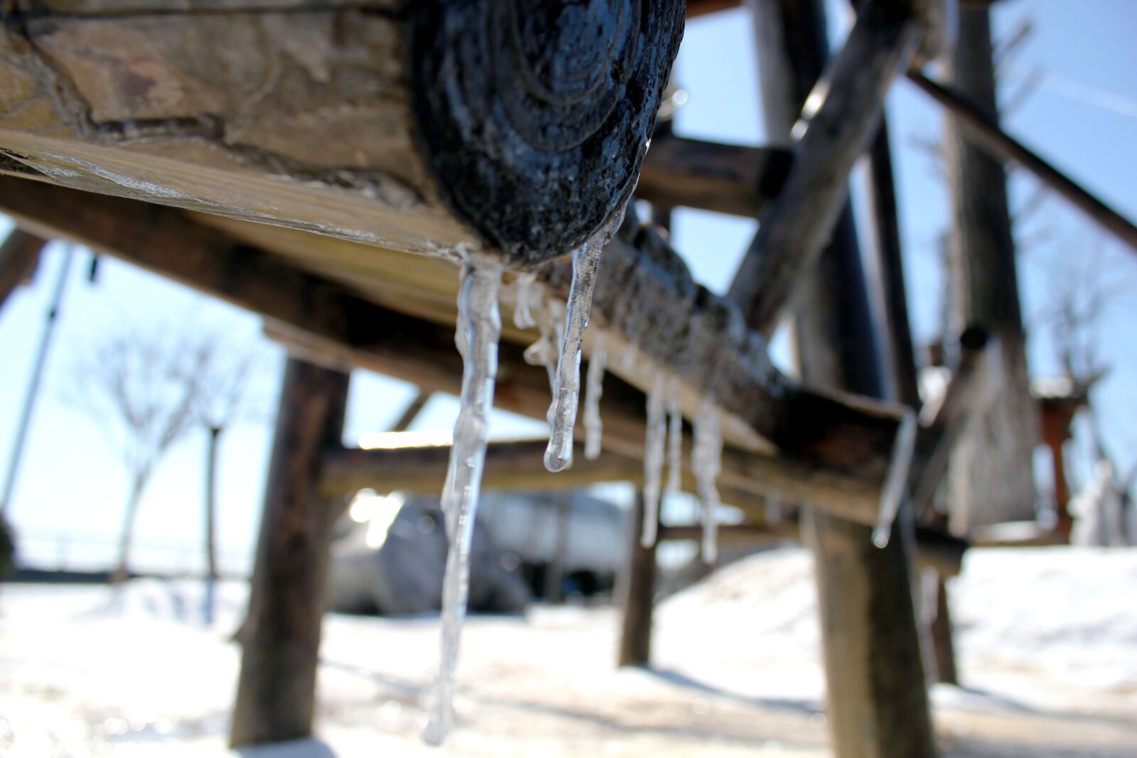 Canon EOS 550D (EOS Rebel T2i / EOS Kiss X4) sample photo. Icicles, swing, winter photography