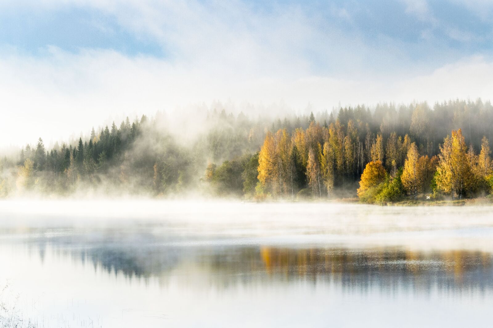 Nikon D5300 sample photo. Forest, mist, lake photography