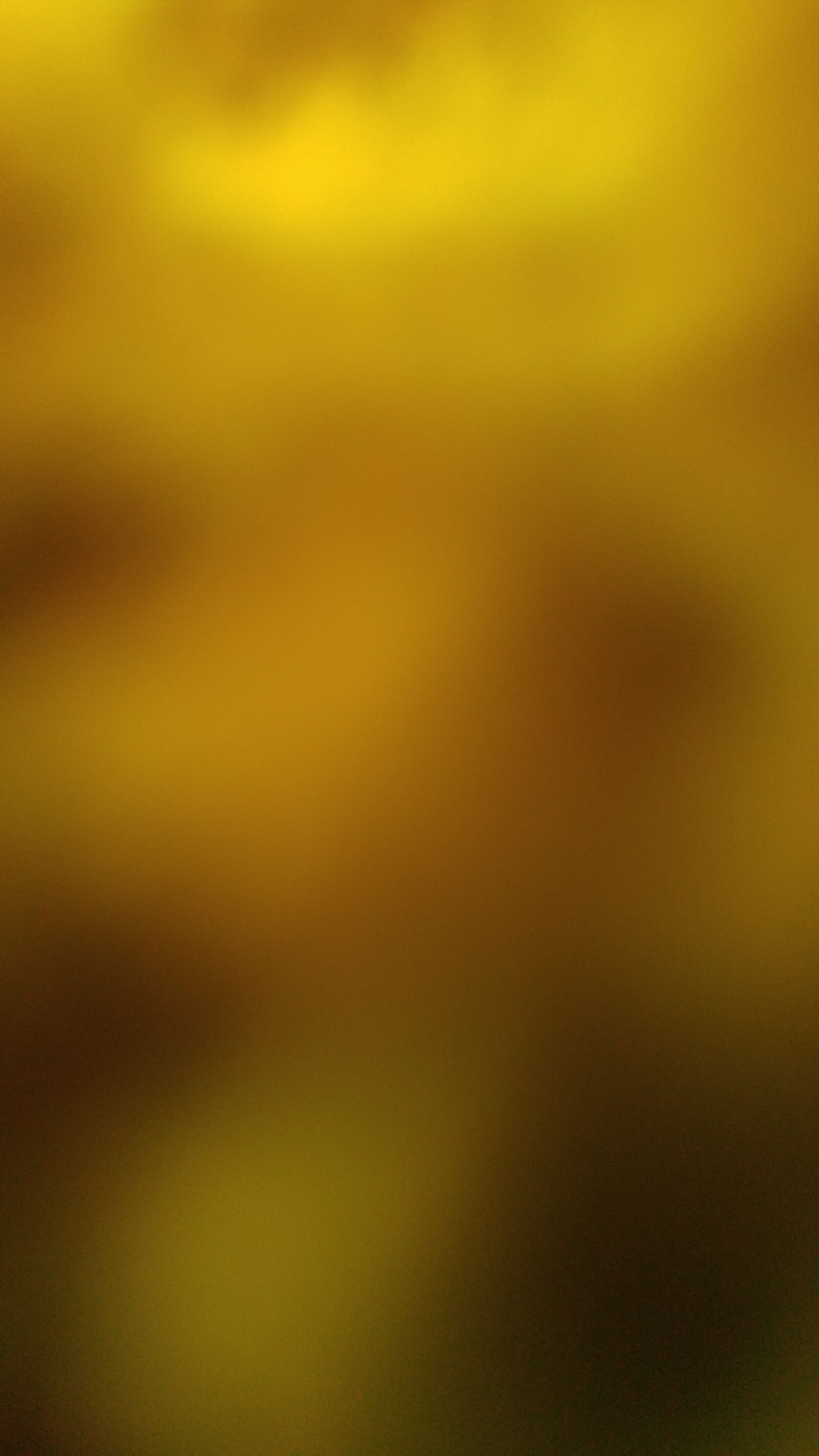 LG V10 sample photo. Yellow, background, nice photography