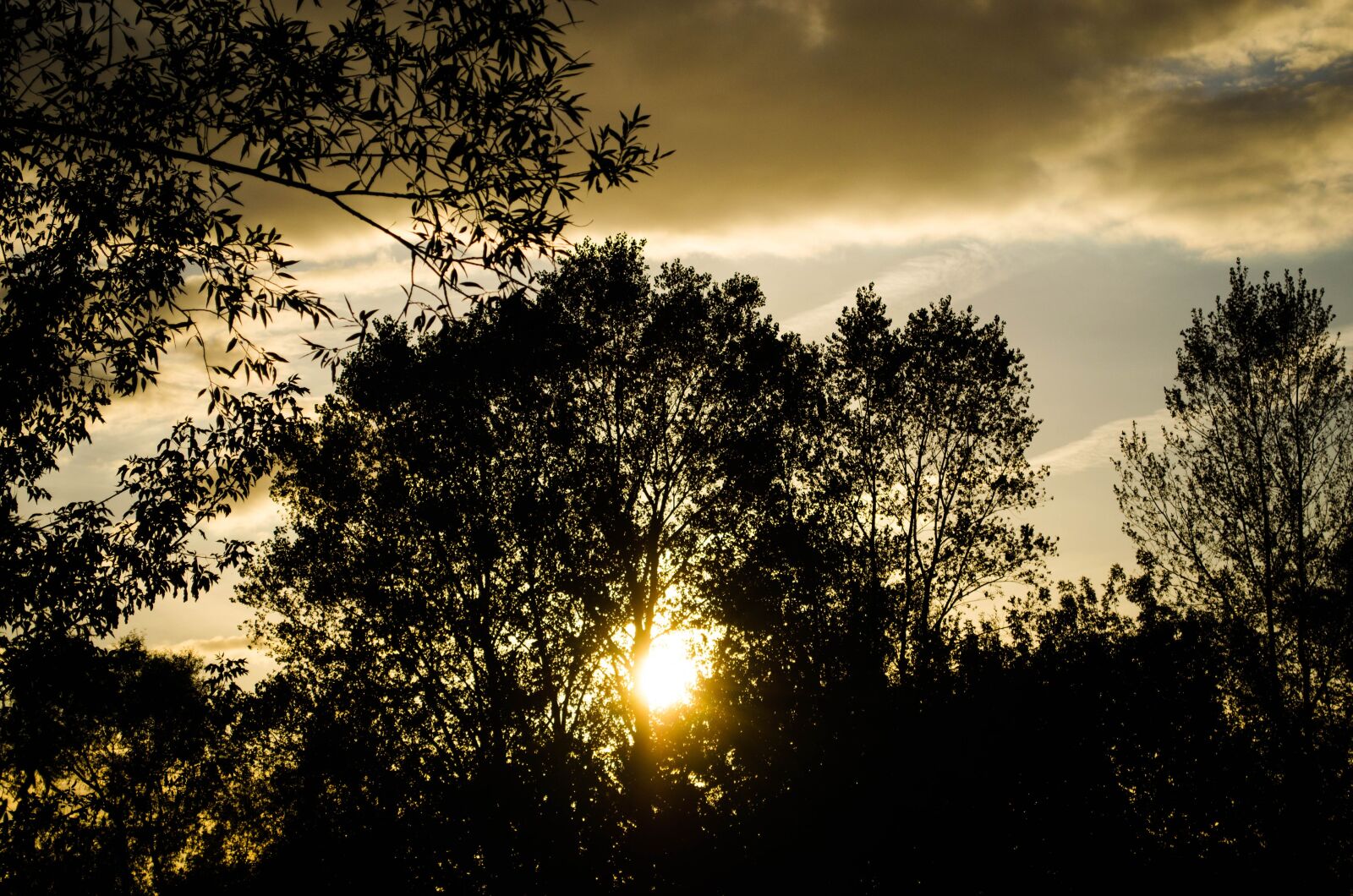 Nikon D5100 sample photo. The silhouette, sunset, in photography