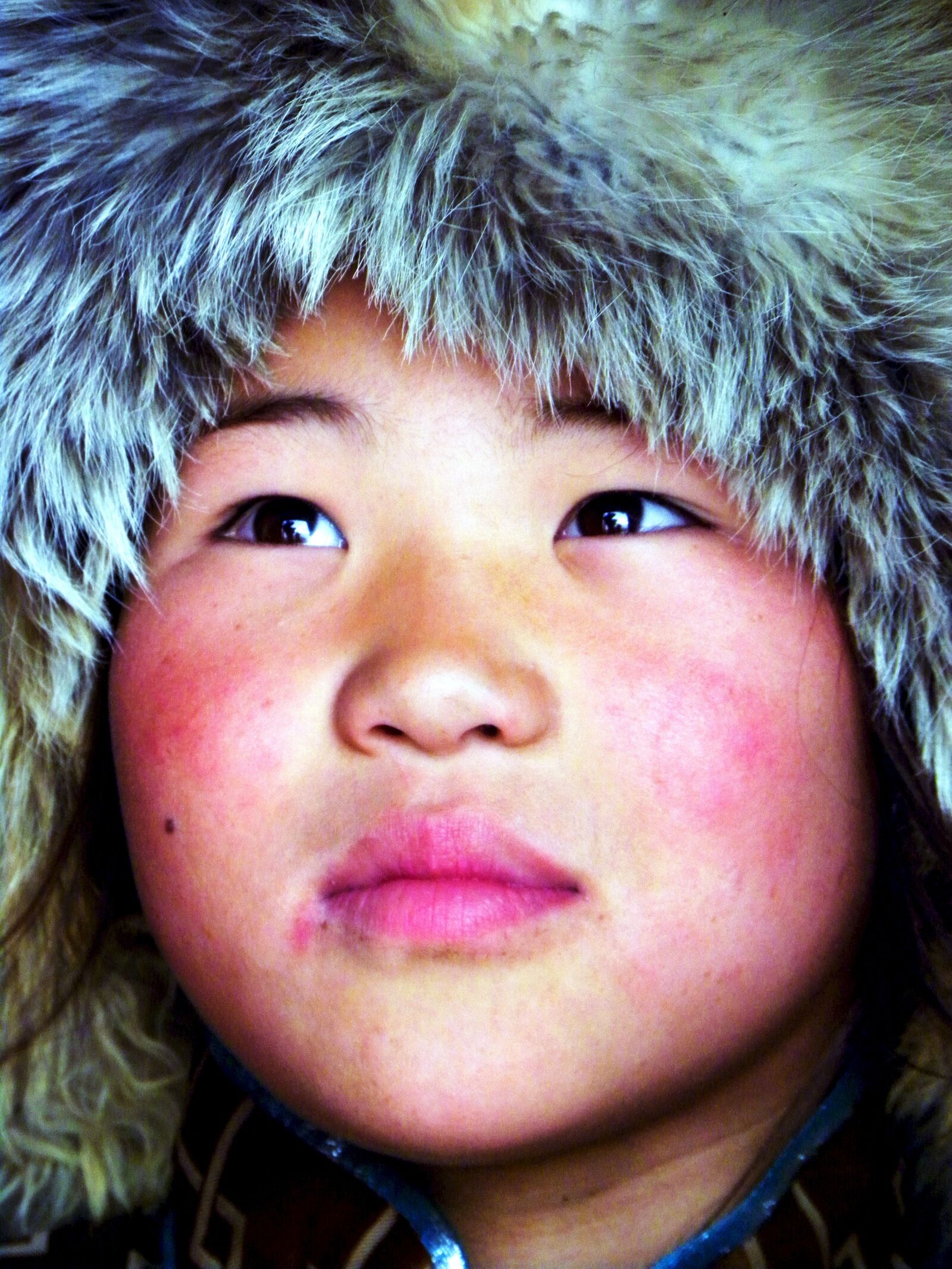 Nikon Coolpix P90 sample photo. Mongolia, travel, nomadic photography