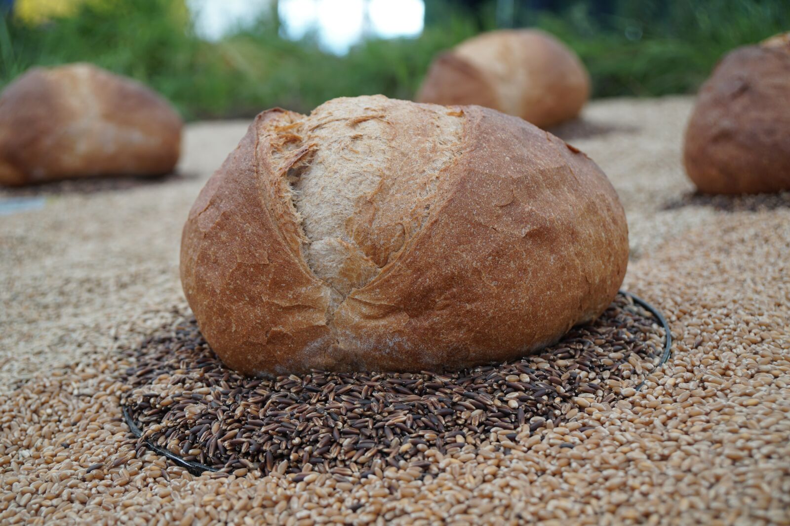 Sony a6500 + Sony Vario-Tessar T* E 16-70mm F4 ZA OSS sample photo. Bread, grain, food photography
