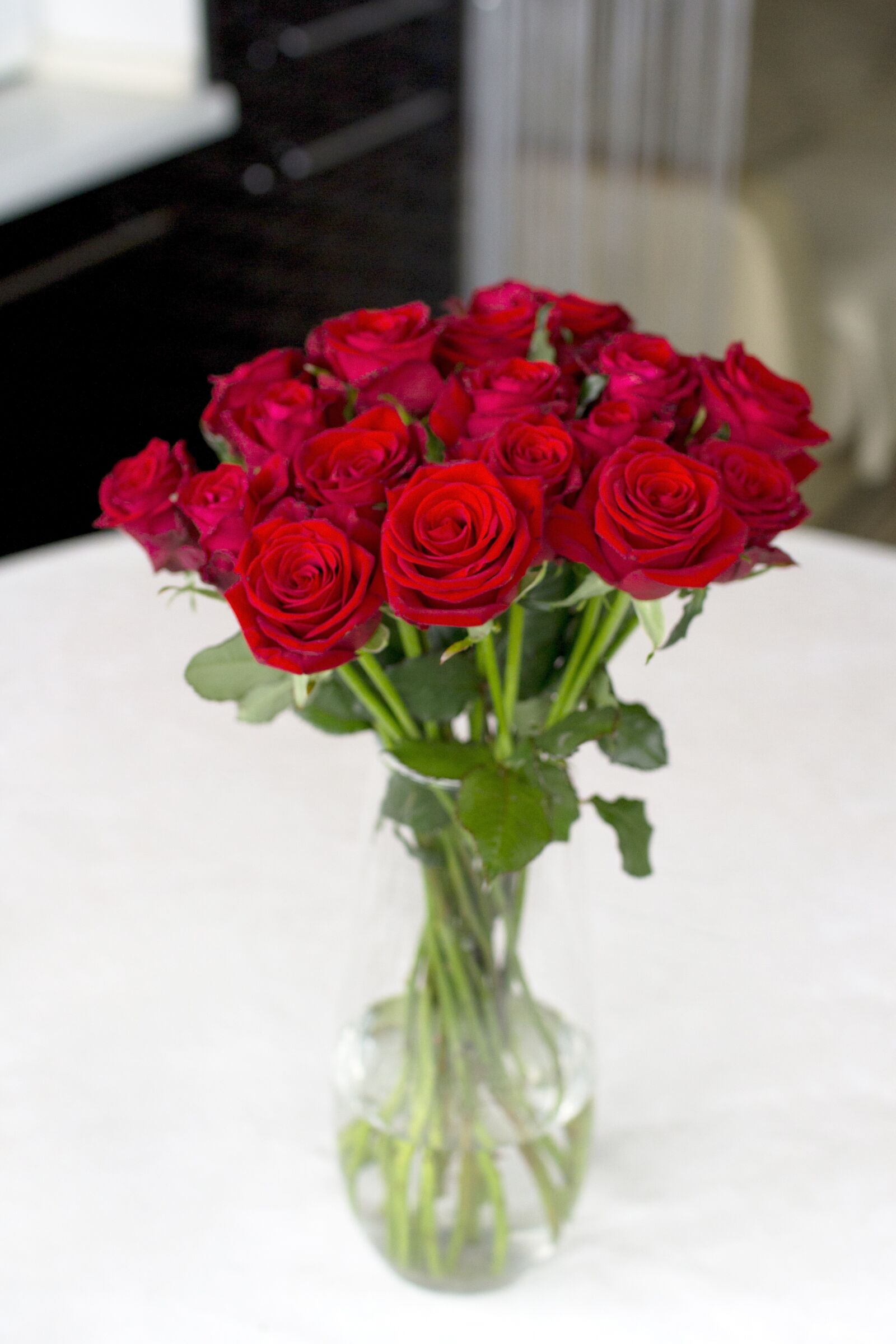 Canon EOS 60D sample photo. Rose, bouquet, vase photography