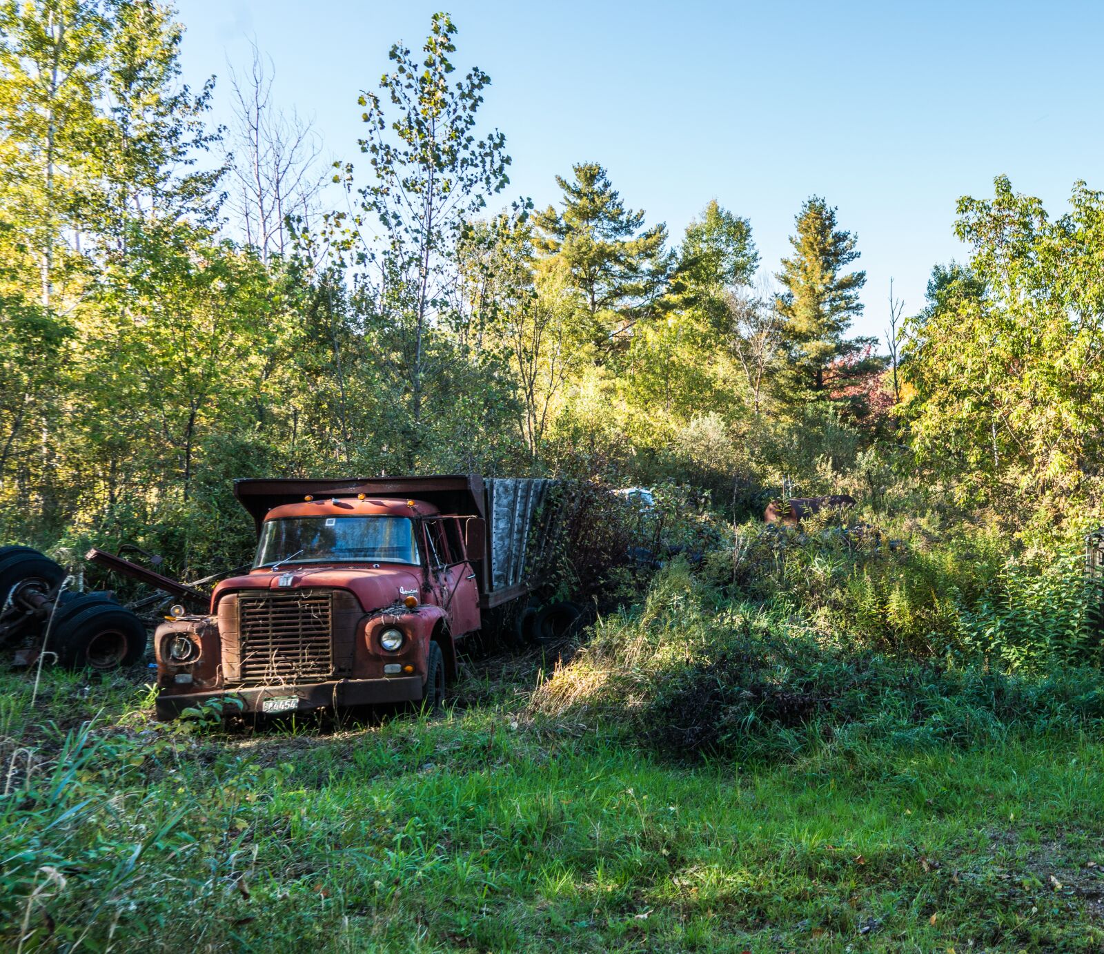 Sony a7R II sample photo. Truck, rustic, rural photography