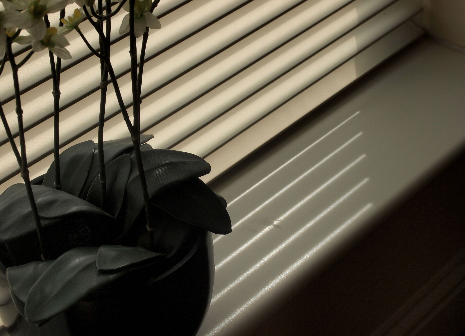 Olympus PEN E-PL2 sample photo