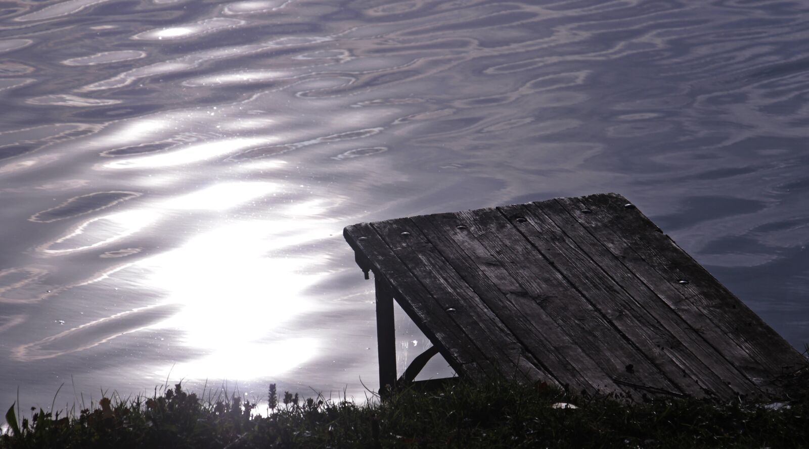 Canon EOS 100D (EOS Rebel SL1 / EOS Kiss X7) sample photo. Water, web, sunlight photography