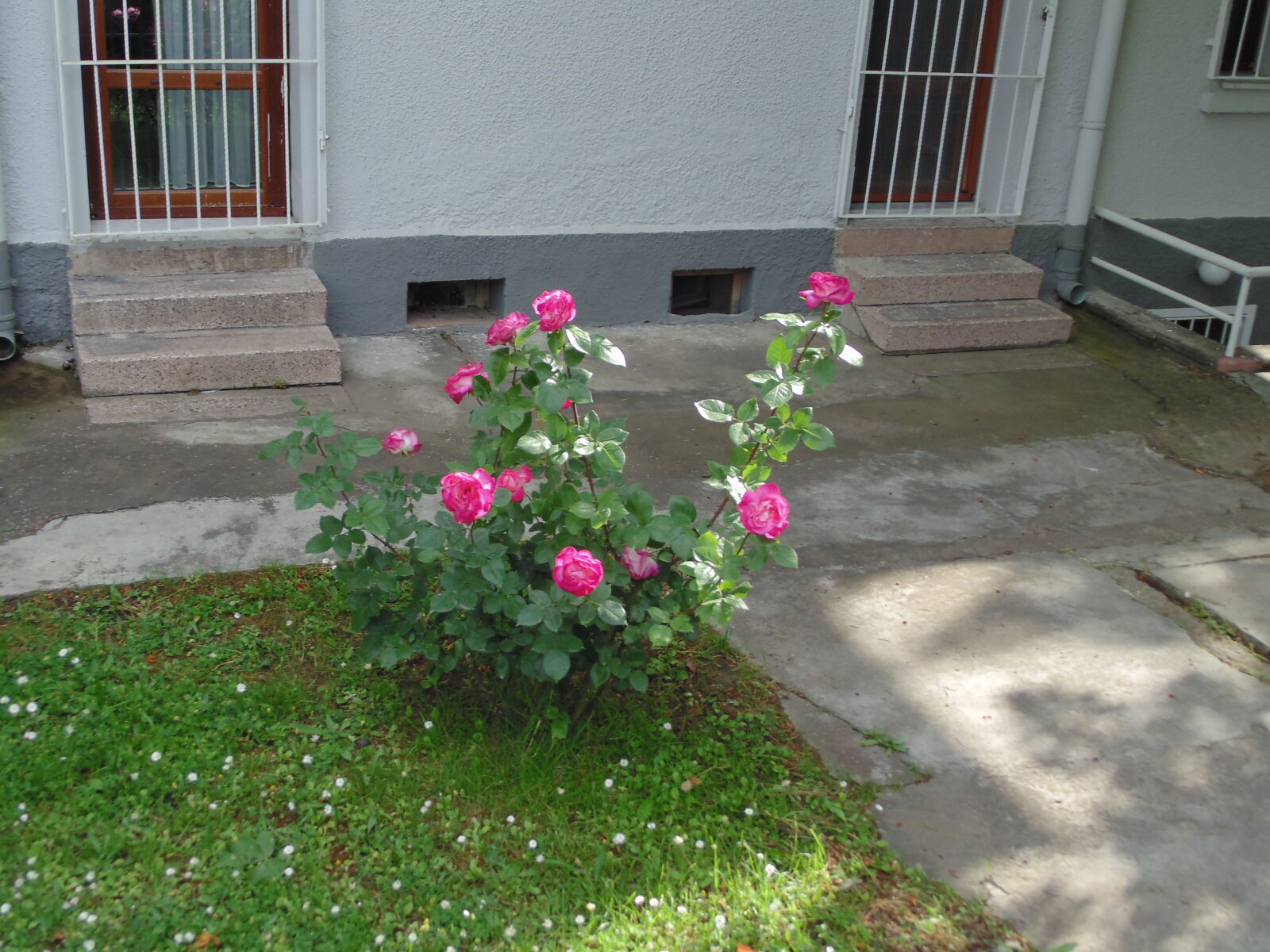 Sony DSC-H100 sample photo