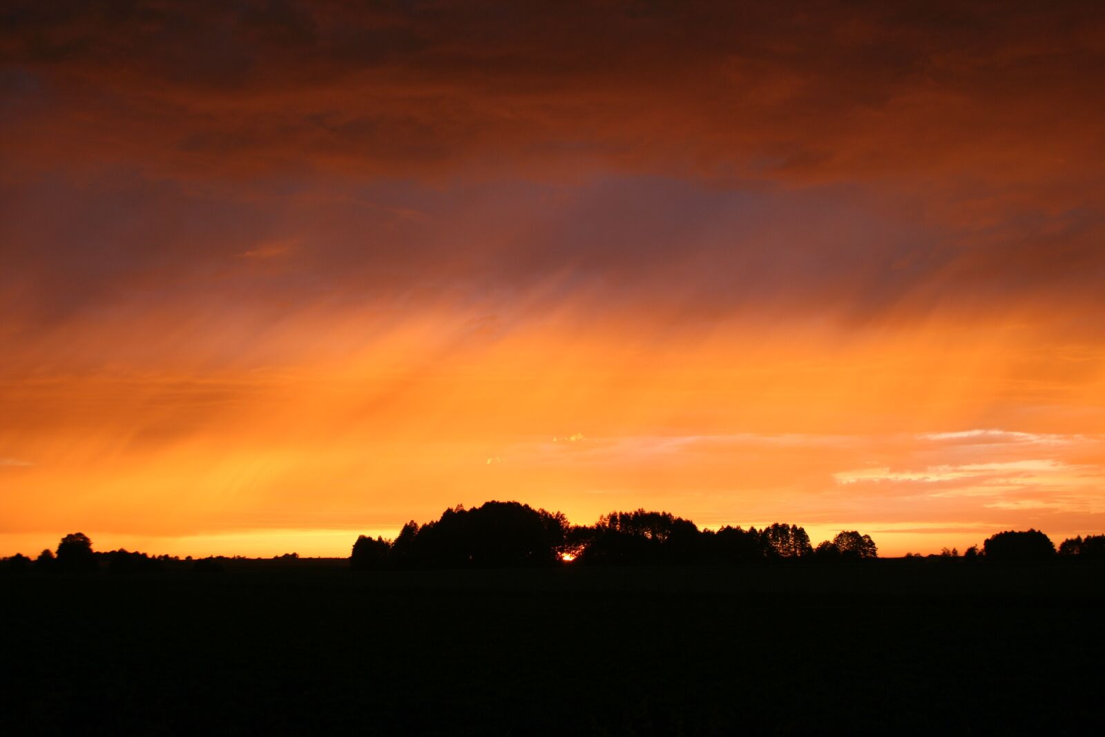 Canon EOS 350D (EOS Digital Rebel XT / EOS Kiss Digital N) sample photo. Sun, sunset, sky photography
