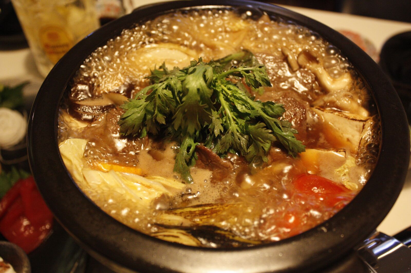 Canon EOS 450D (EOS Rebel XSi / EOS Kiss X2) sample photo. Japanese, stew, my database photography