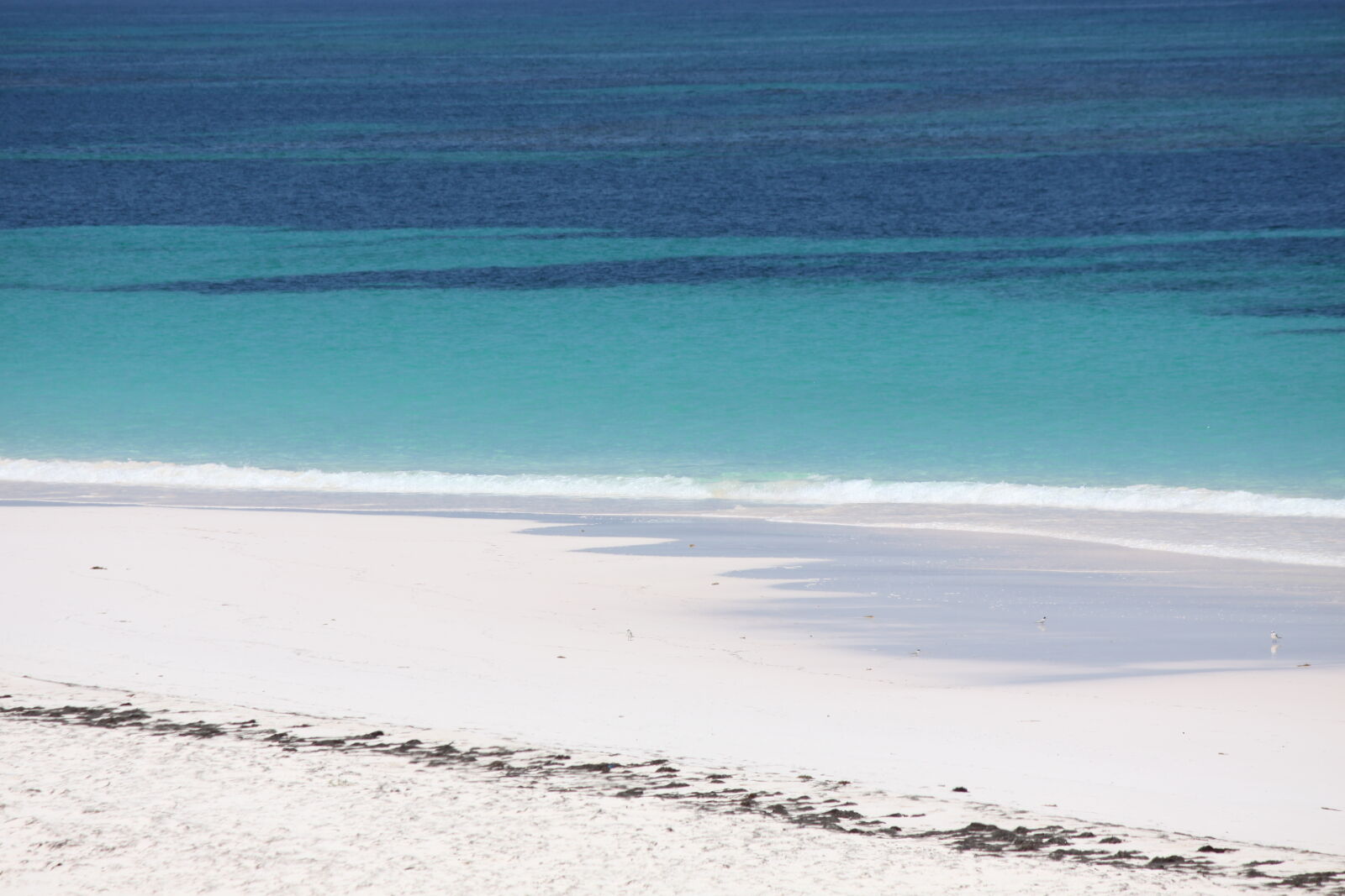 Canon EF-S 55-250mm F4-5.6 IS sample photo. Bahamas, beach, green, ocean photography
