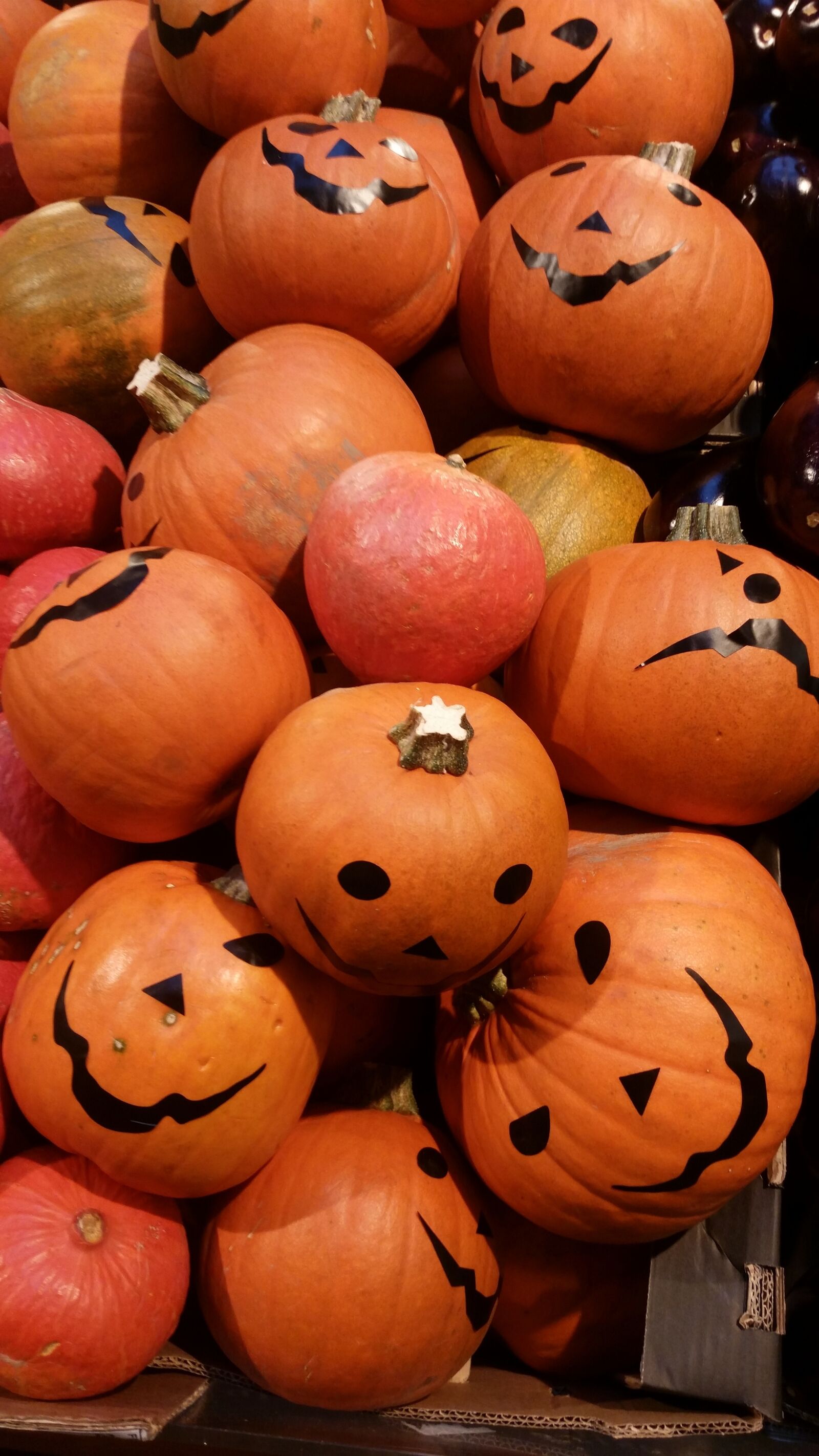 Samsung Galaxy S5 sample photo. Pumpkin, no one, halloween photography
