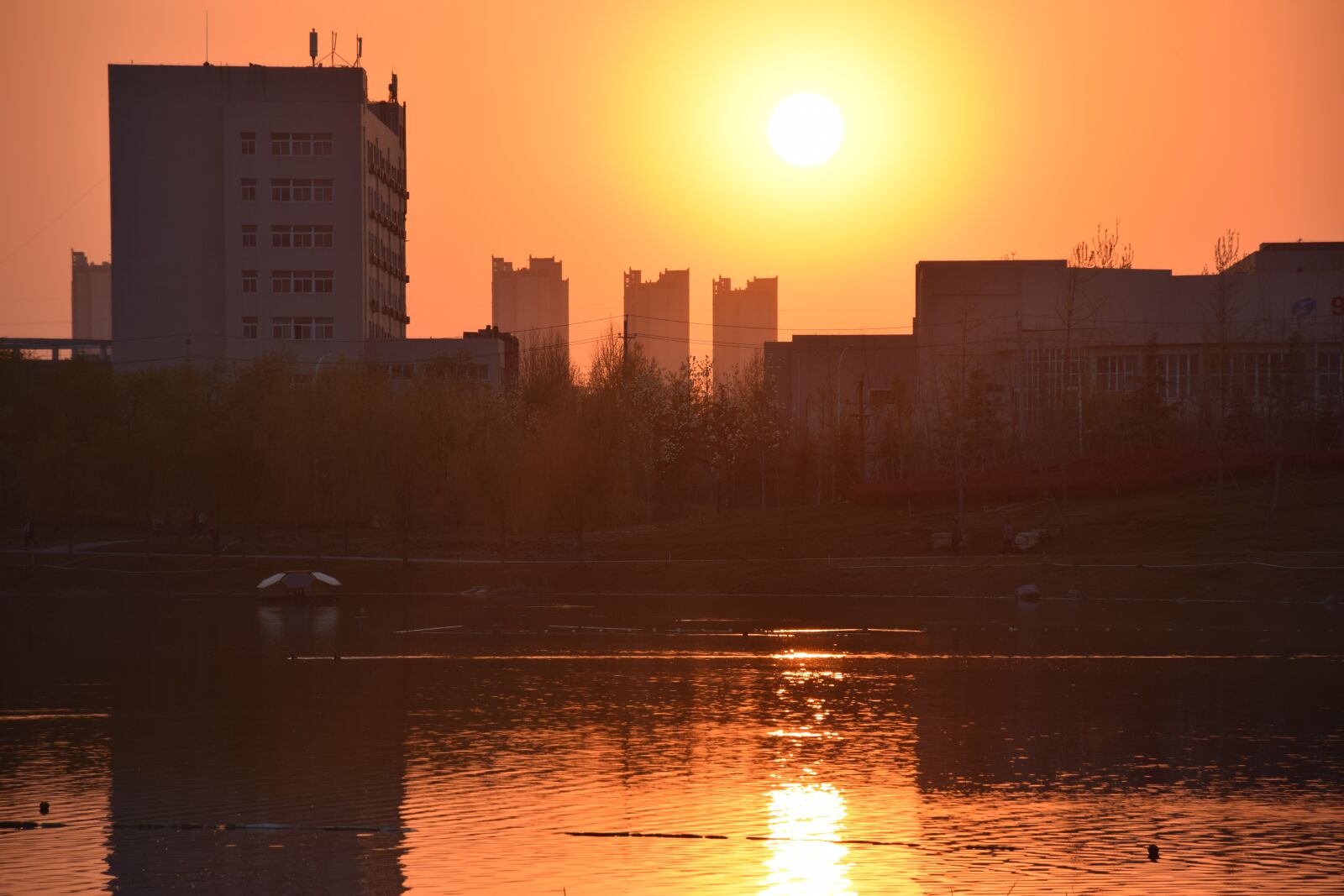 Nikon D5300 sample photo. Longzihu lake, zhengdong new photography