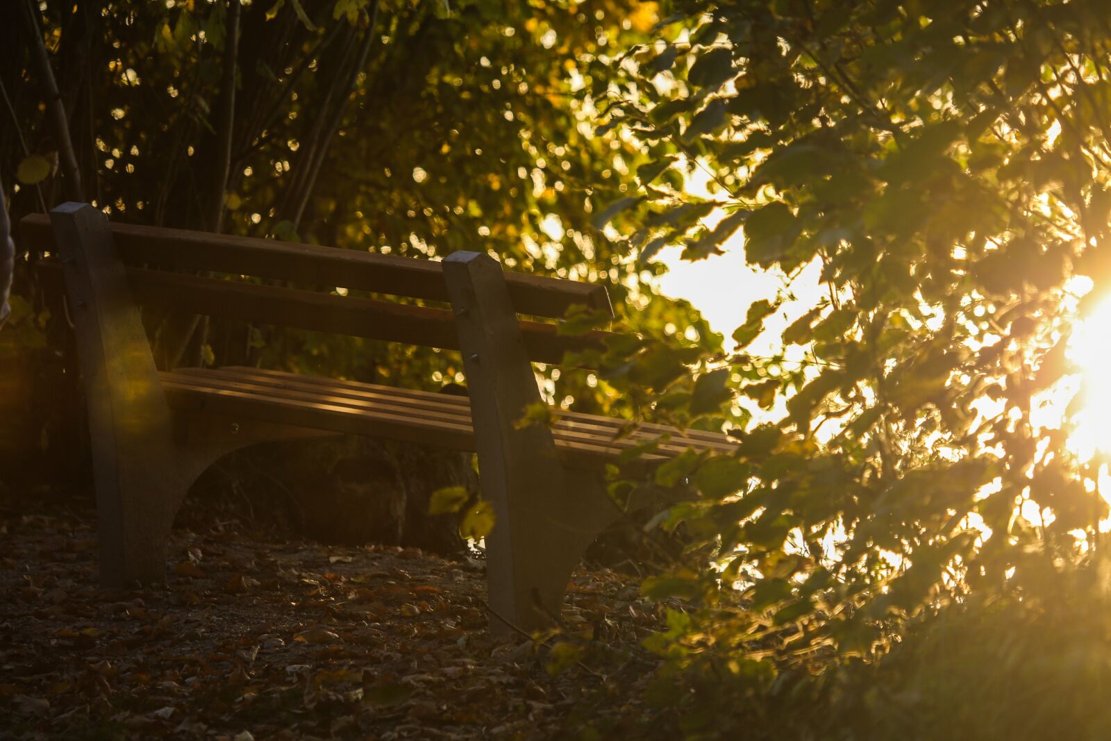 Canon EF 100-400mm F4.5-5.6L IS USM sample photo. Bank, sit, cozy photography