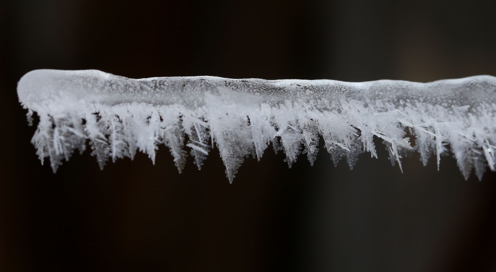 Canon EF-S 60mm F2.8 Macro USM sample photo. Frozen, snow, winter photography