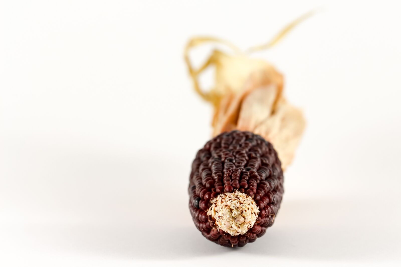 Canon EOS 700D (EOS Rebel T5i / EOS Kiss X7i) sample photo. Corn, ornamental corn, cereals photography