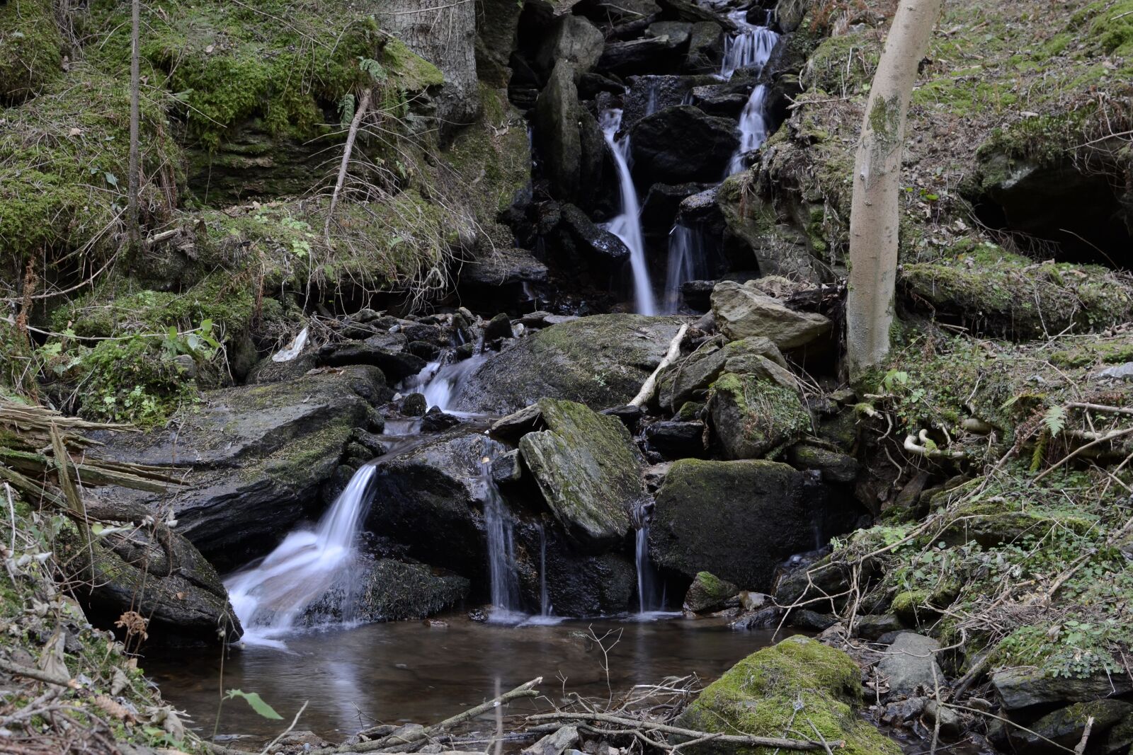 Nikon D3100 sample photo. Teigitsch, austria, styria photography