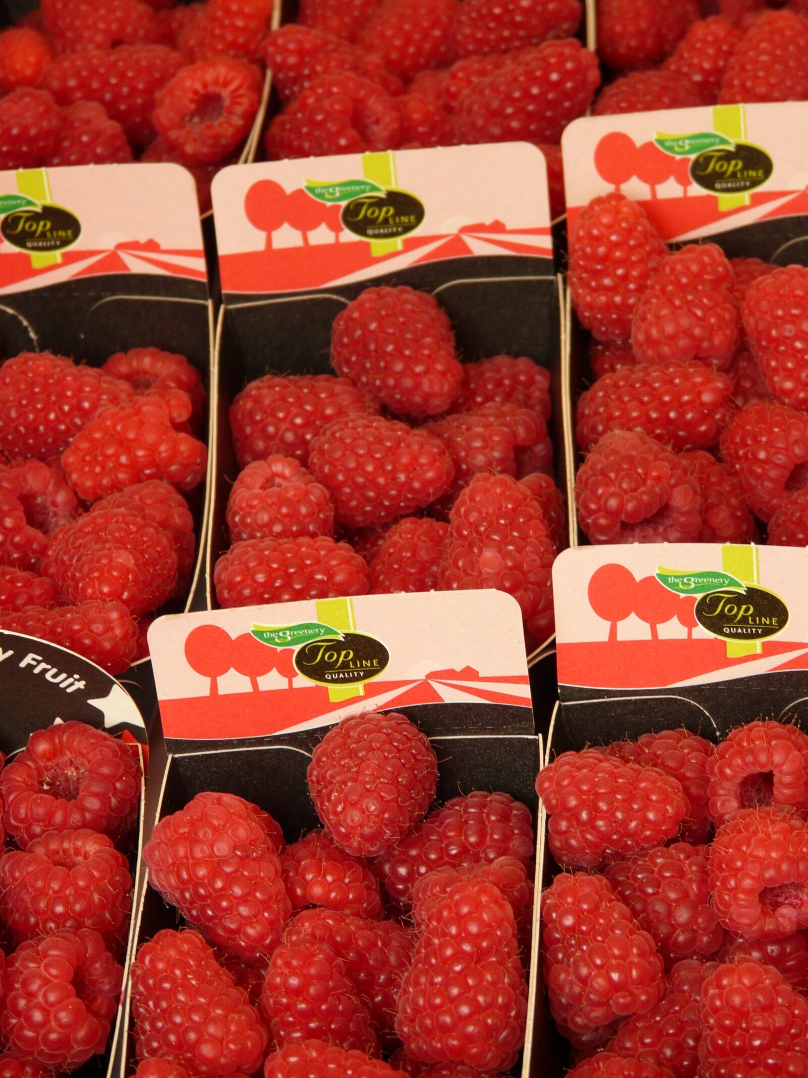 Panasonic DMC-FZ18 sample photo. Raspberries, rubus idaeus, berries photography