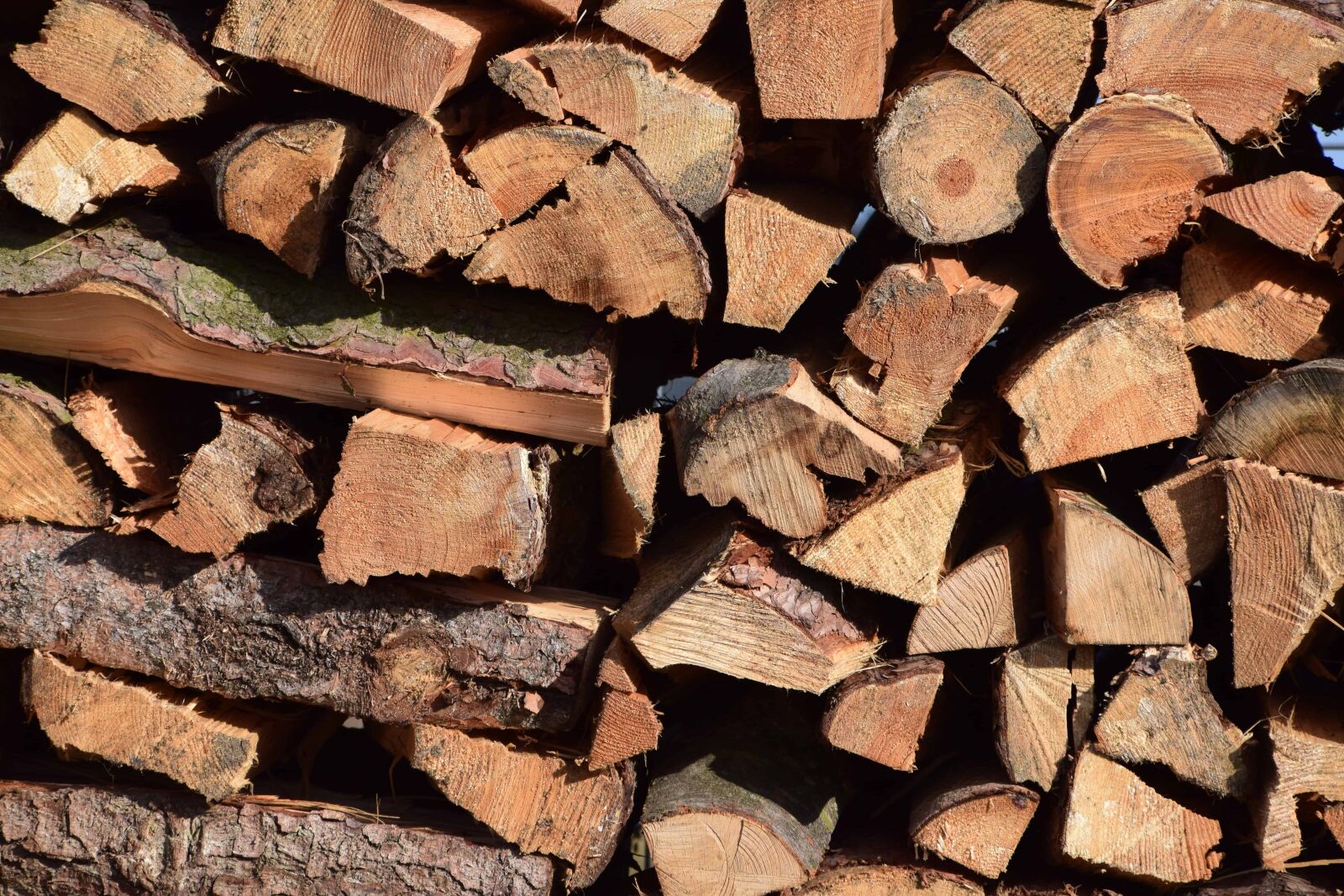Nikon D3300 sample photo. Firewood, woodpile, bark, wood photography