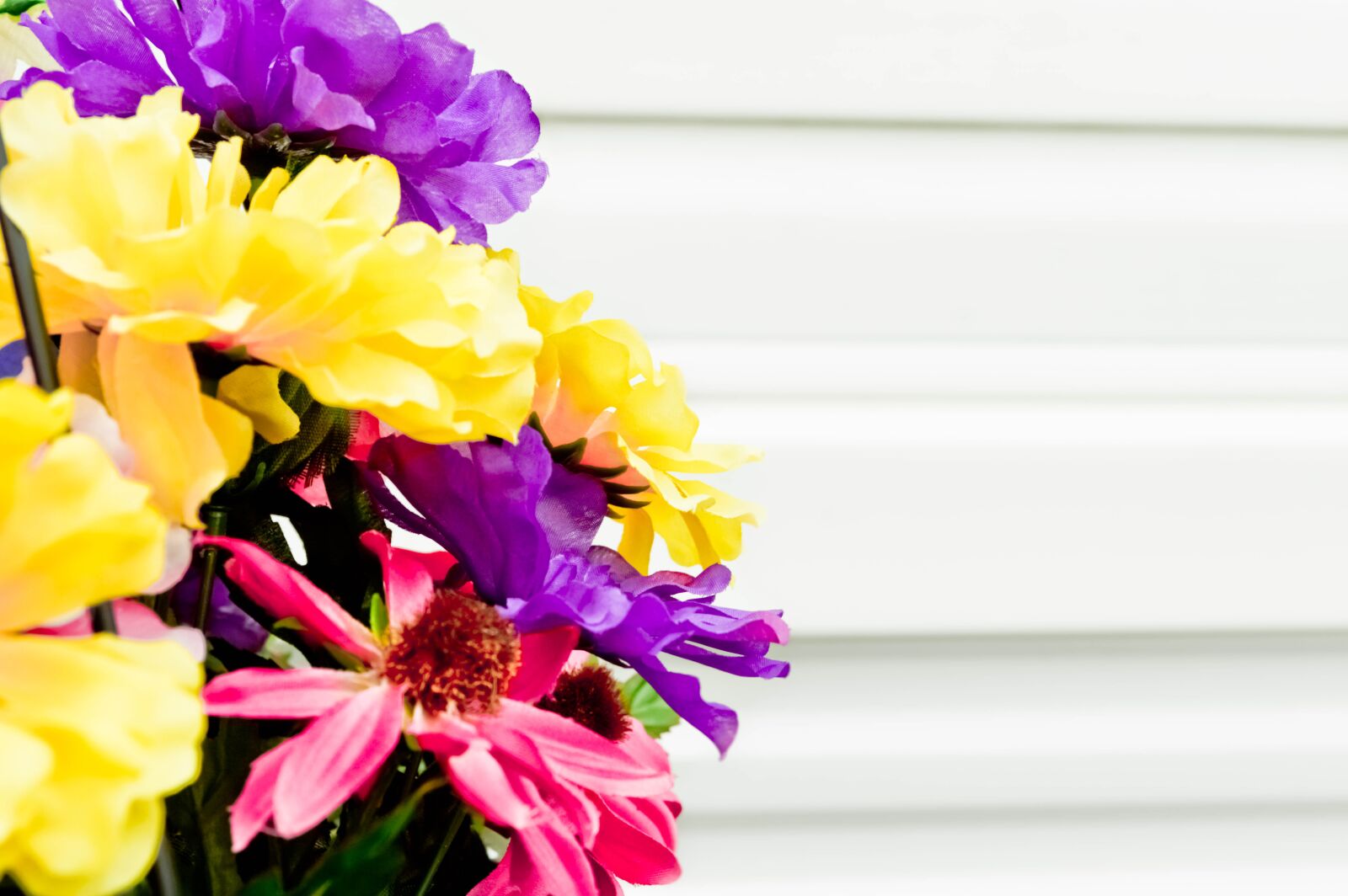 Nikon D3200 sample photo. Spring, colorful, flowers photography