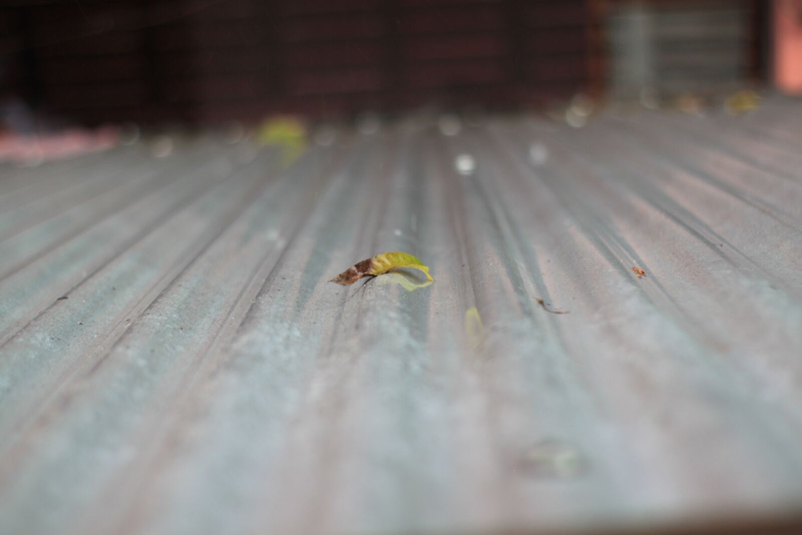 Canon EOS 500D (EOS Rebel T1i / EOS Kiss X3) sample photo. Home, website, hacker photography