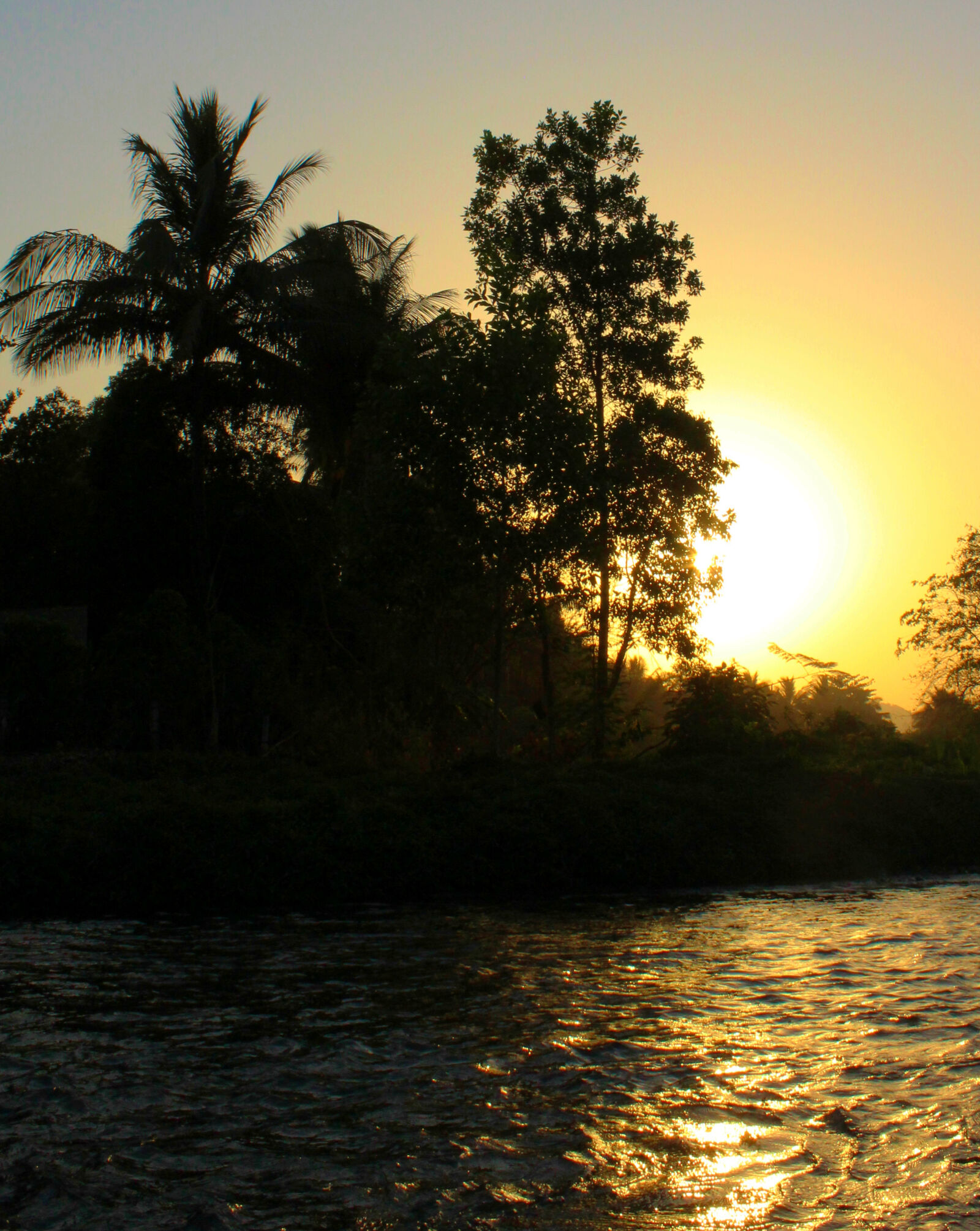 Canon EOS 1200D (EOS Rebel T5 / EOS Kiss X70 / EOS Hi) sample photo. Forest, golden, hour, nature photography