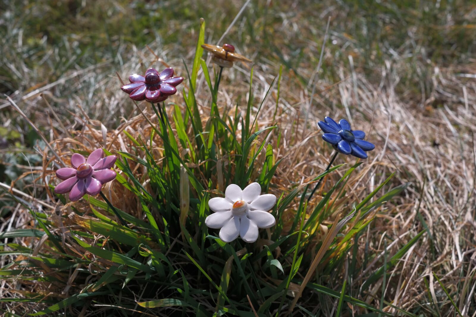 Samsung NX300 sample photo. Garden decoration, gartendeko, flowers photography