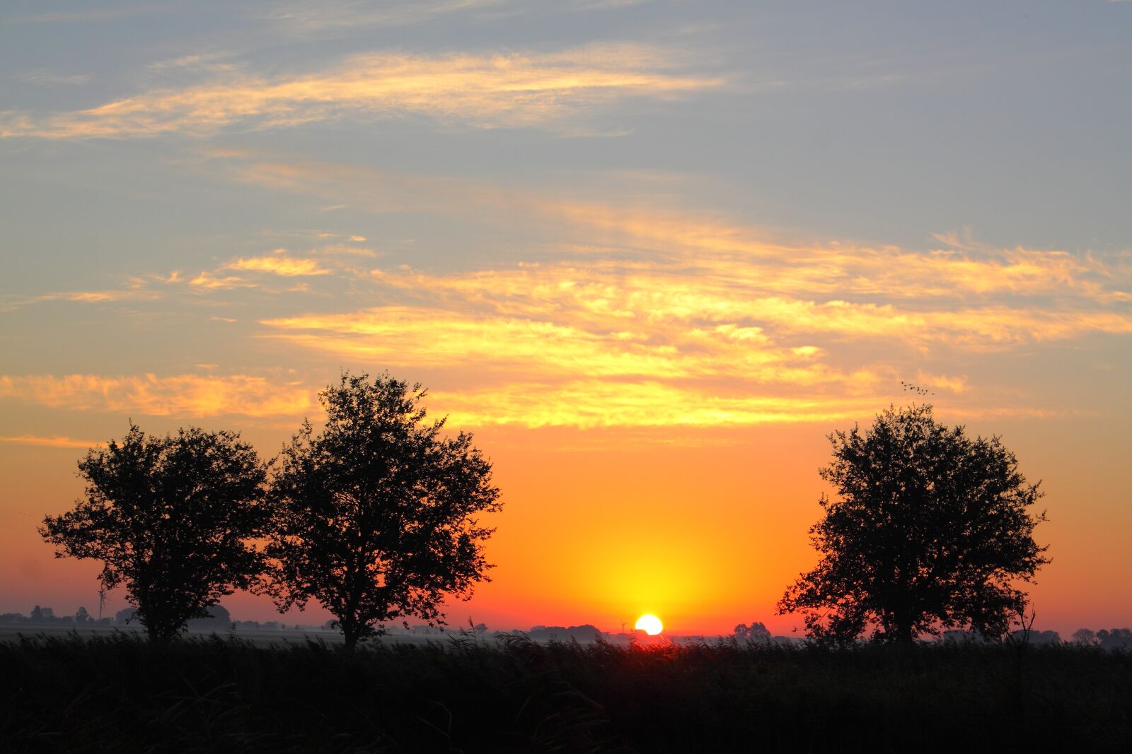 Canon EOS 50D sample photo. Sunrise, morning, day photography