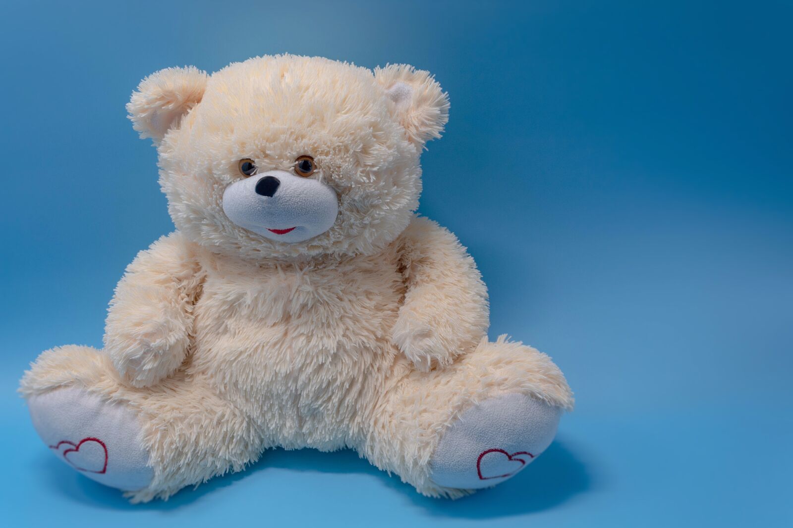 Canon EOS 4000D (EOS Rebel T100 / EOS 3000D) sample photo. Toy, children's, soft photography