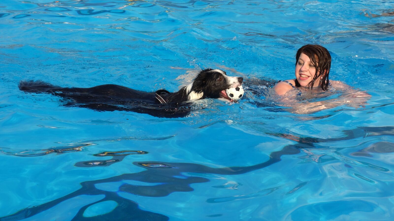 Sony Cyber-shot DSC-RX100 sample photo. Dog, swimming, swimming pool photography