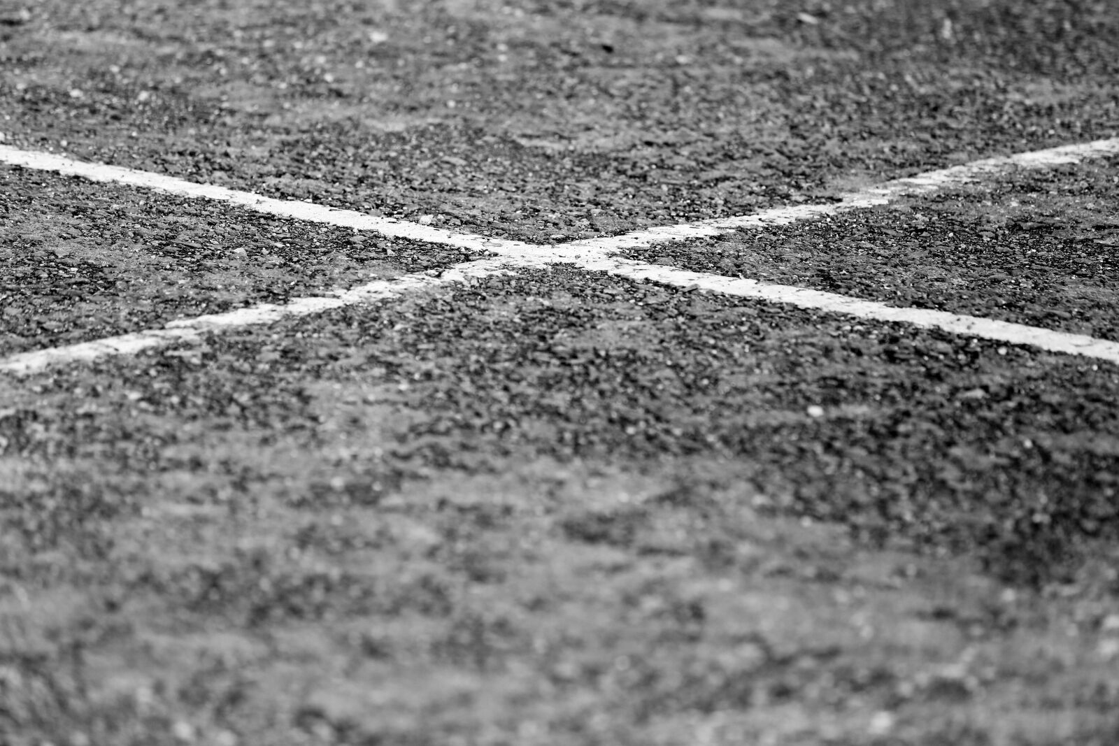 Canon EOS 6D sample photo. B w, black and photography