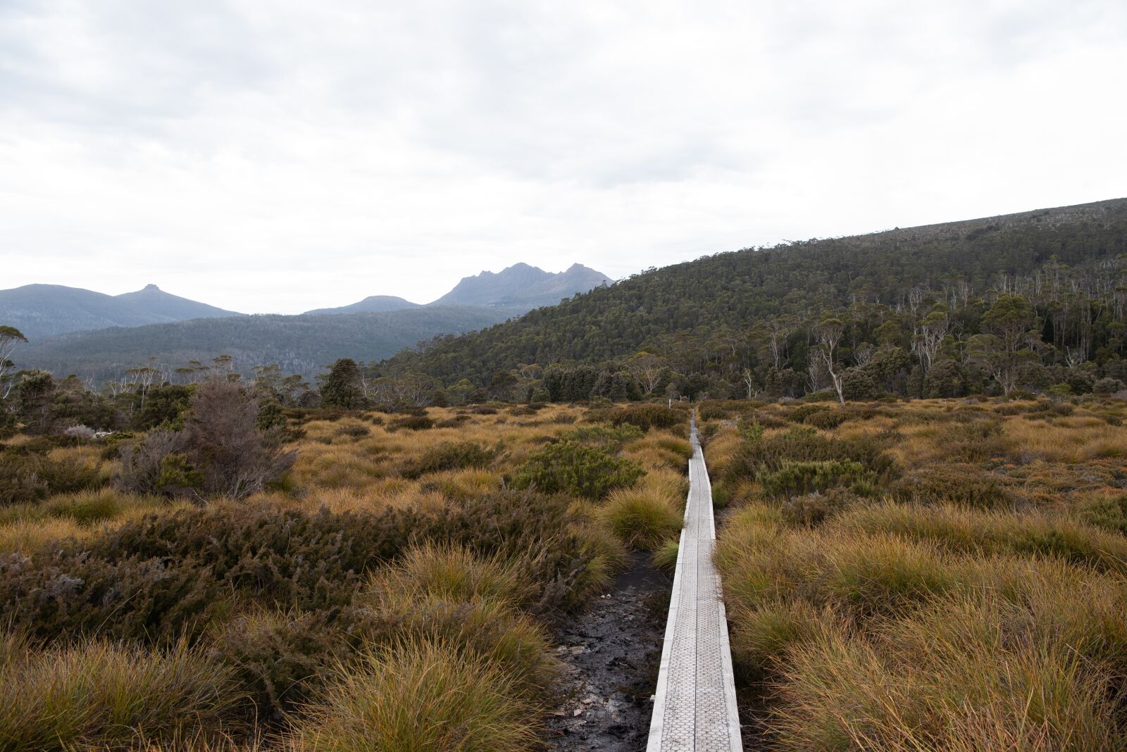 Nikon D750 sample photo. Overland track, tasmania, hike photography