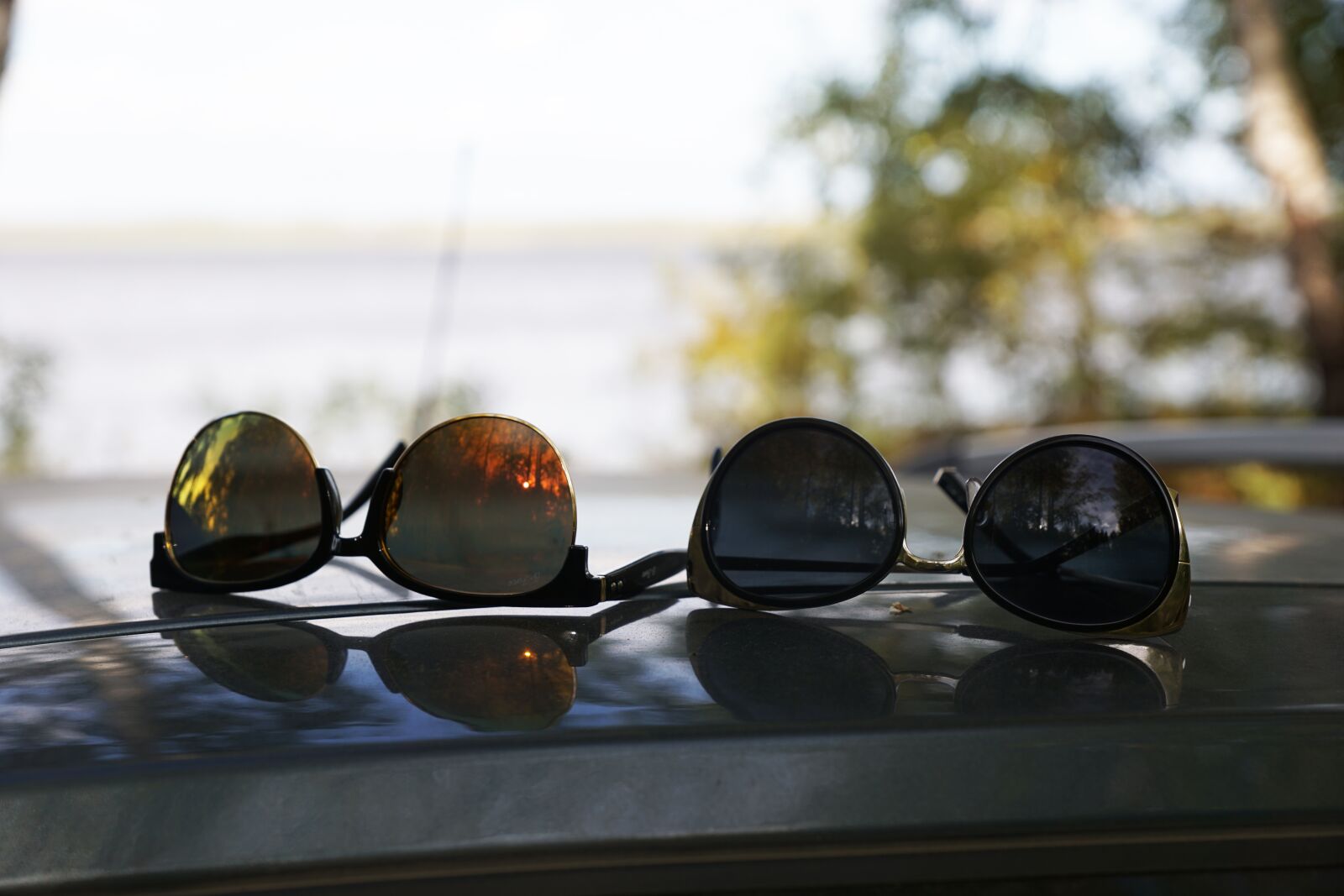 Sony DT 16-50mm F2.8 SSM sample photo. Nature, glasses, sunglasses photography