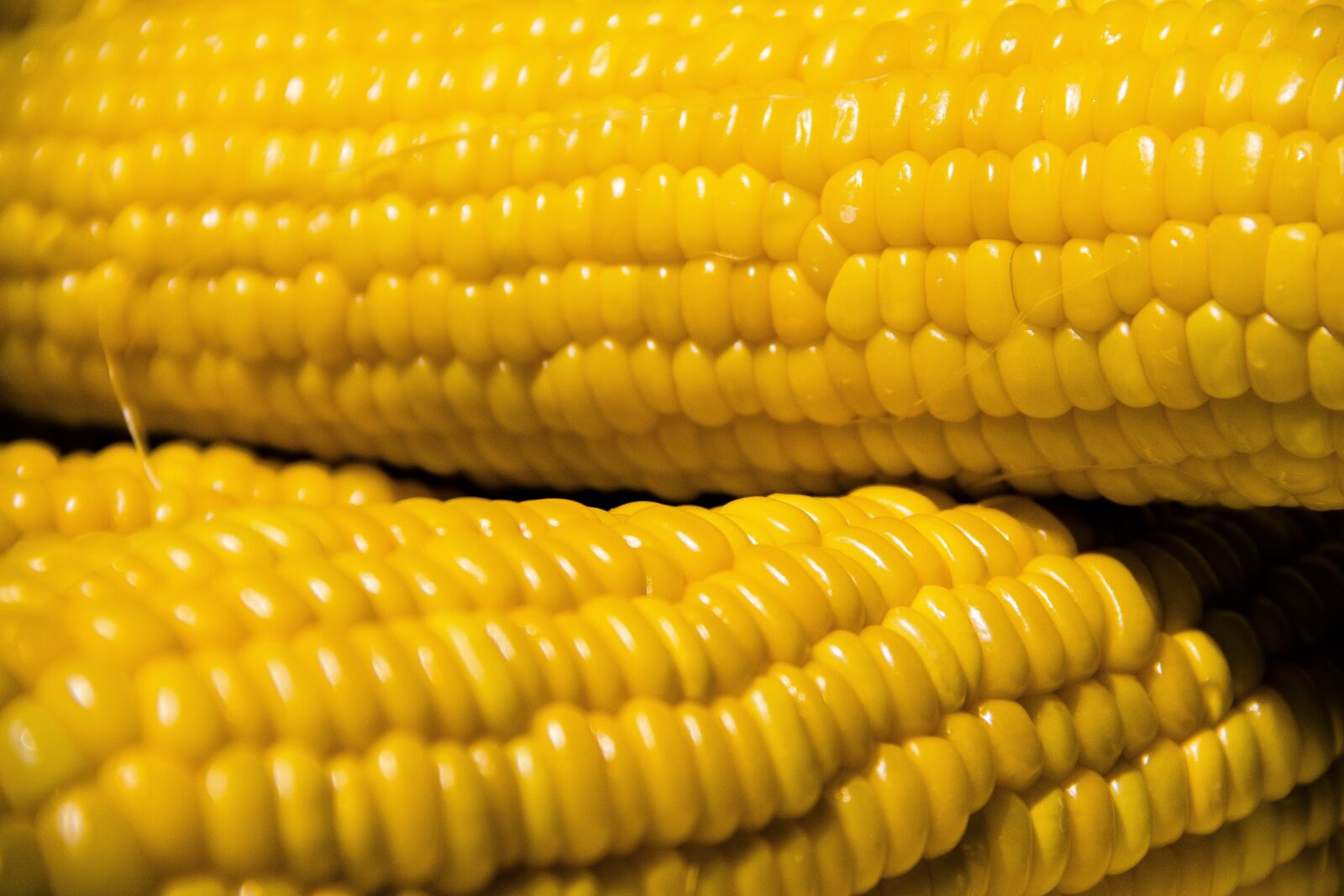 Canon EOS 650D (EOS Rebel T4i / EOS Kiss X6i) sample photo. Corn, vegetables, nutrition photography