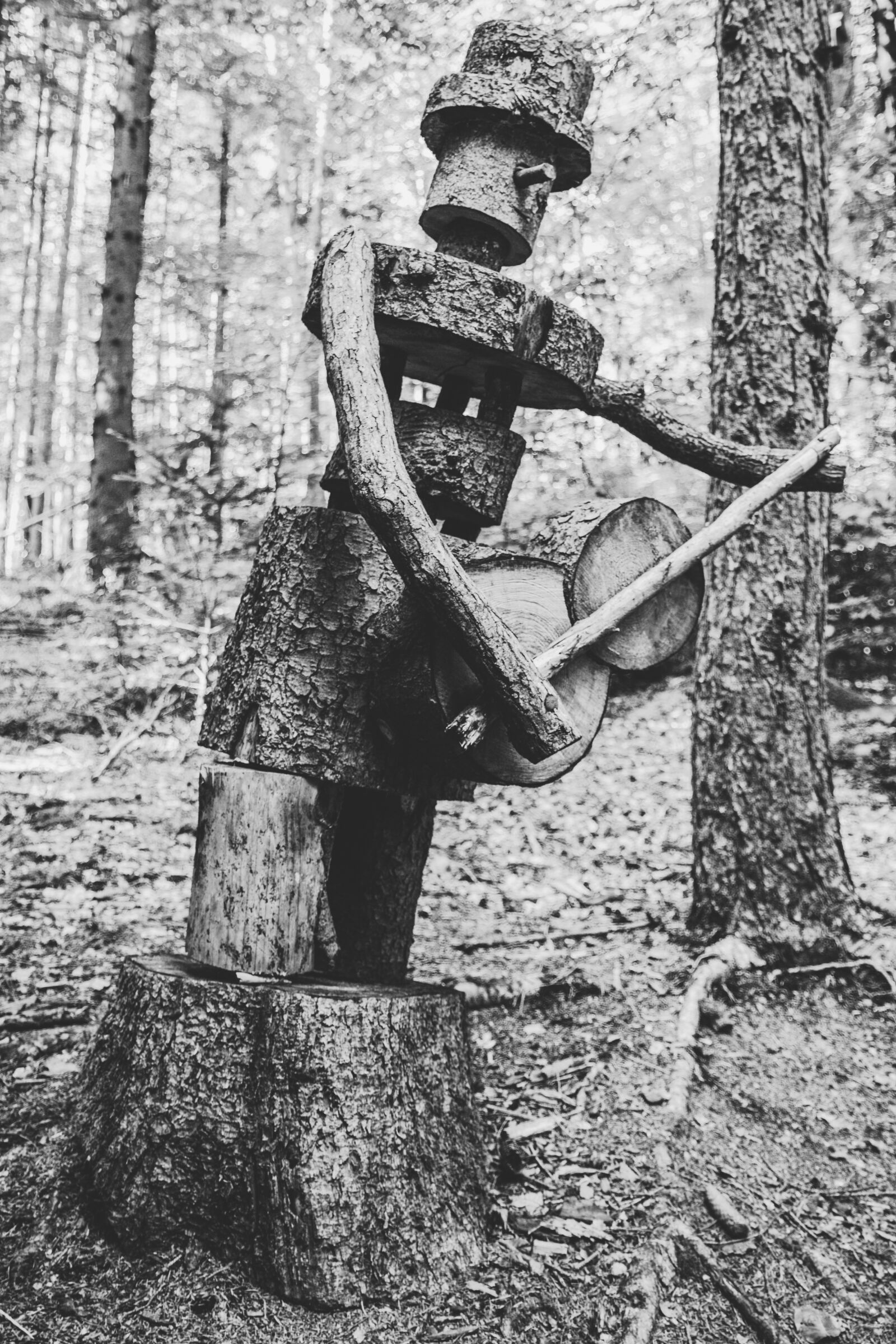 Canon EOS 650D (EOS Rebel T4i / EOS Kiss X6i) sample photo. Tree carving, wood, creativity photography