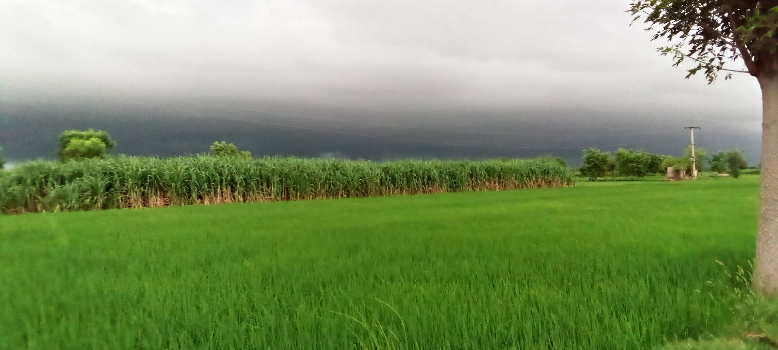 INFINIX MOBILITY LIMITED Infinix X653C sample photo. Natural, wallpaper, scenery photography