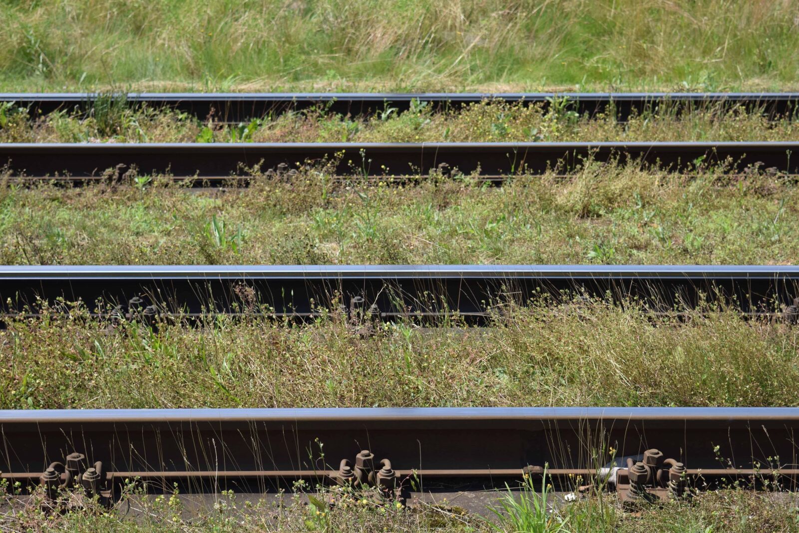 Nikon D3300 sample photo. Railway, locomotive, train, railroad photography