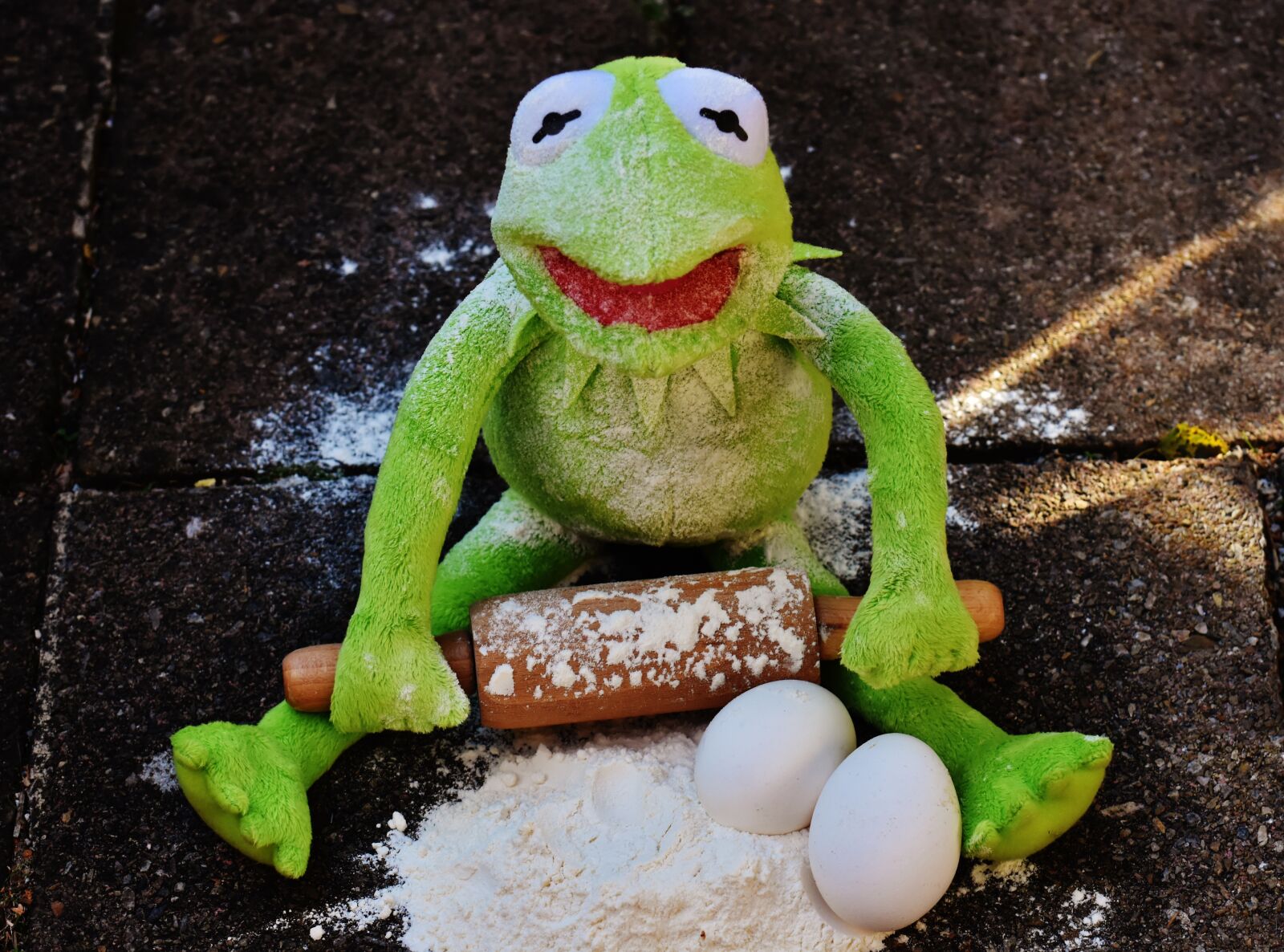 Nikon D7200 sample photo. Kermit, bake, rolling pin photography