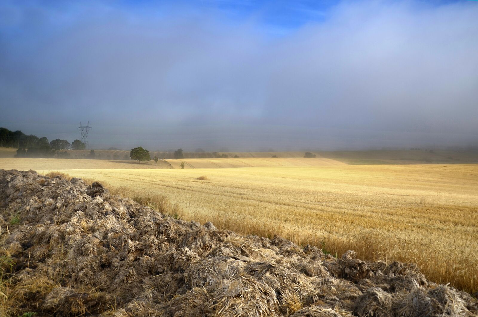 Nikon D5100 sample photo. Countryside, fog, fields photography