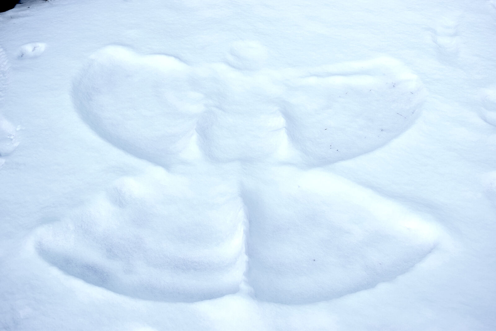 Nikon D3300 sample photo. Angel, snow, snow, angel photography