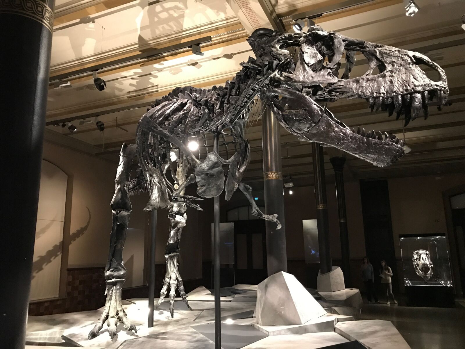 Apple iPhone 7 sample photo. Dinosaur, museum, t rex photography