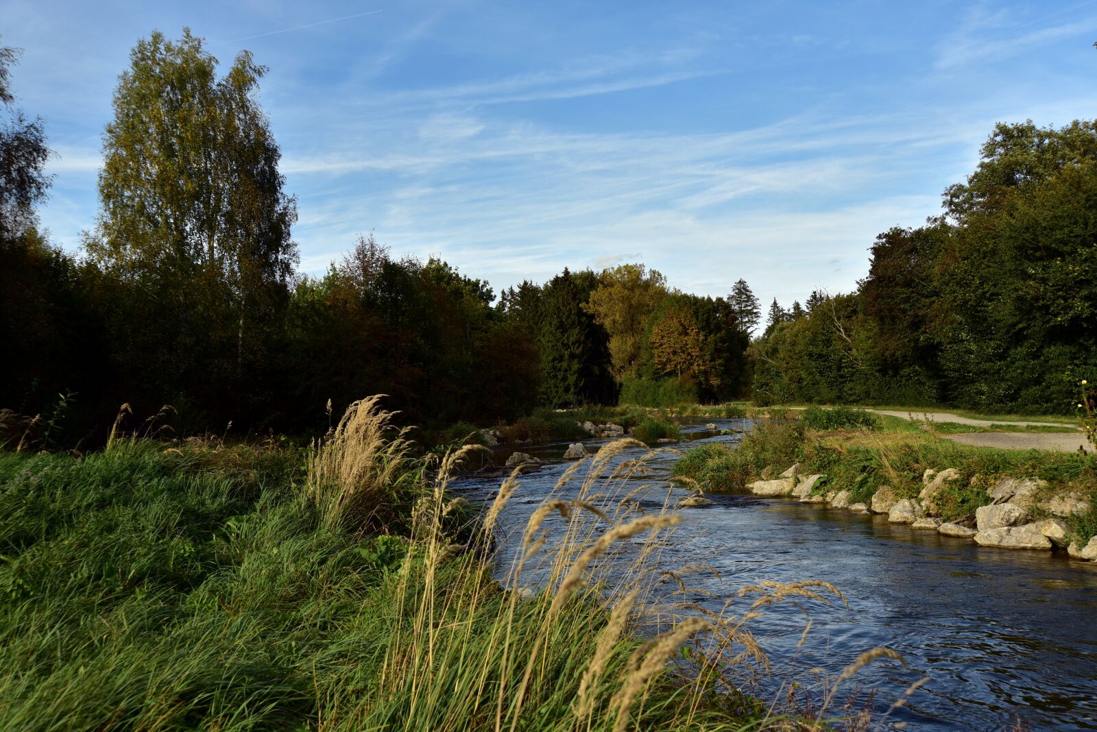 Nikon D750 sample photo. River, bach, water photography