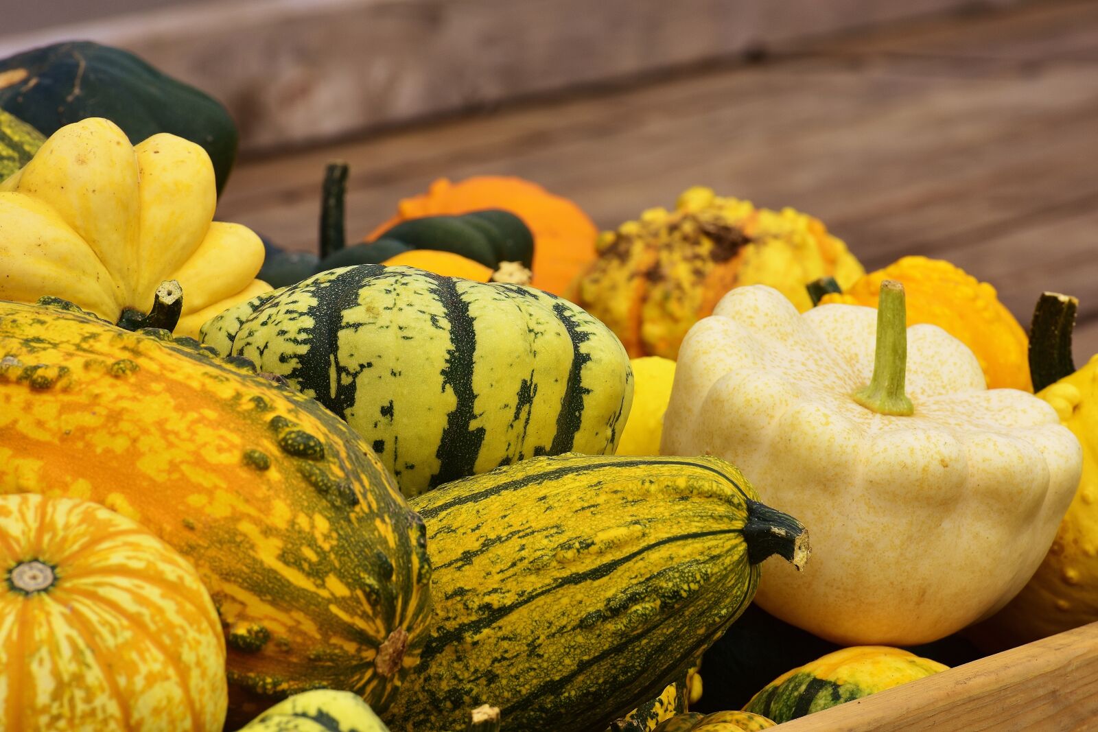 Nikon D7200 sample photo. Pumpkins, autumn, autumn decoration photography