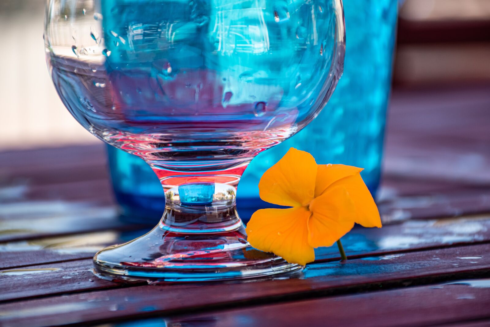 Nikon D5600 sample photo. Glass, transparency, transparent photography