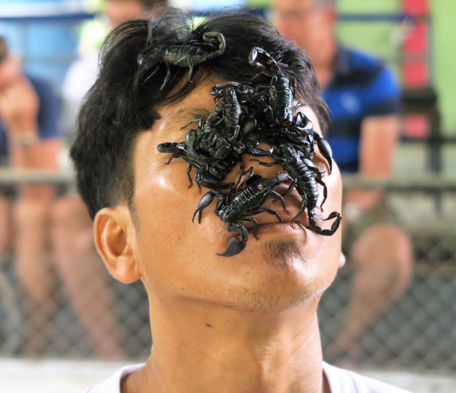 Canon PowerShot G7 X sample photo. Scorpio, face, black scorpions photography
