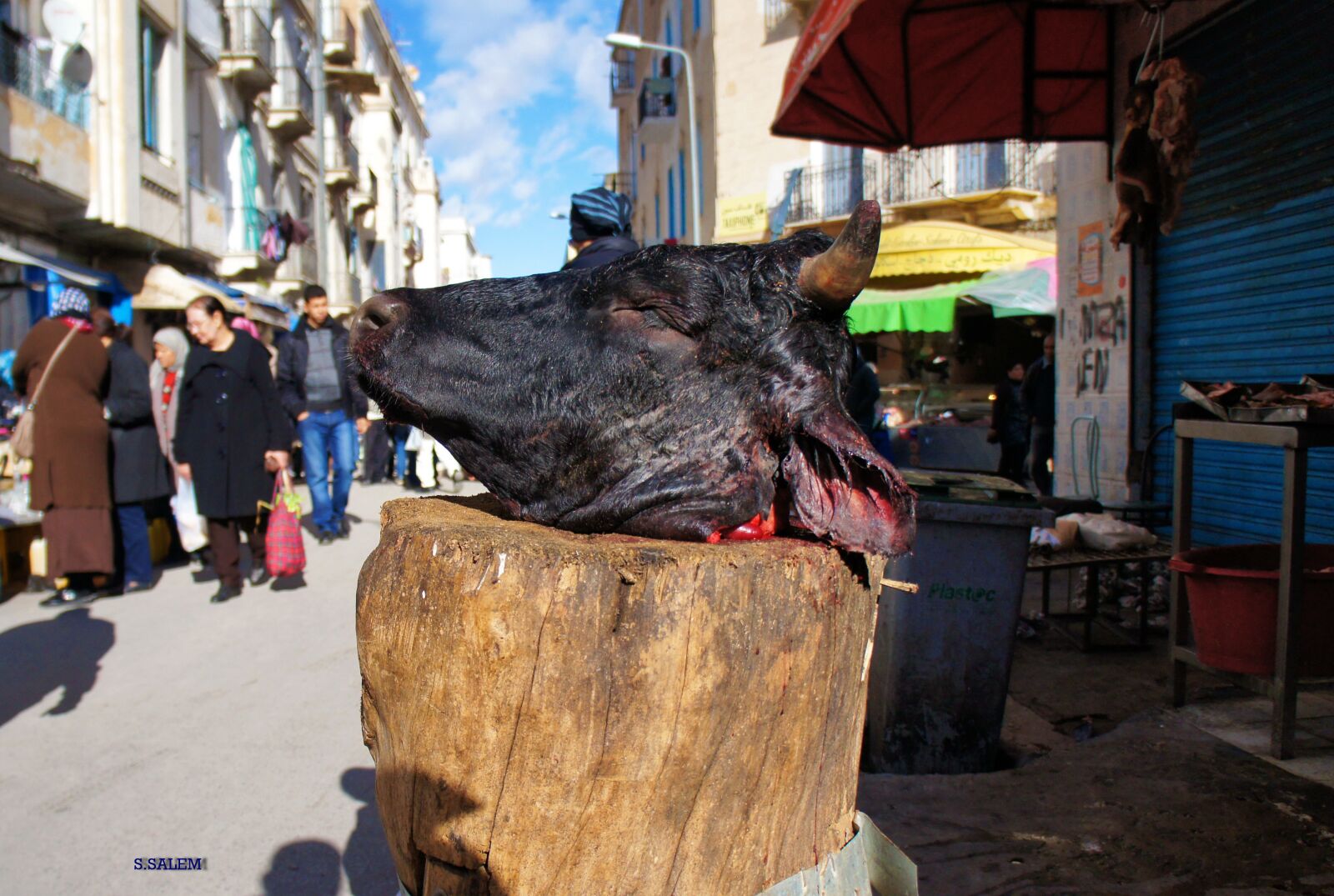 Sony Alpha NEX-C3 sample photo. The butcher, sidi, el photography