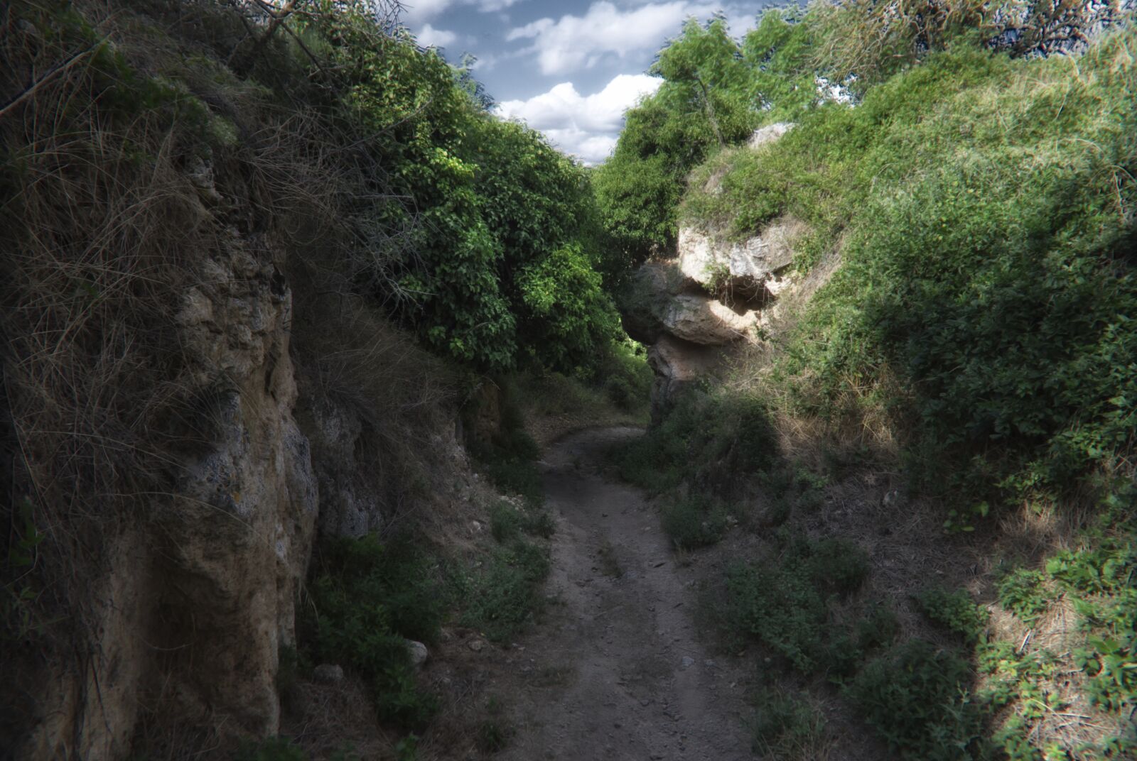 Panasonic DC-TZ200 sample photo. Path, landscape, mystical photography