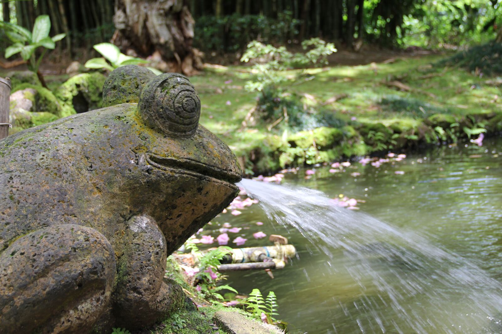 Canon EF-S 18-135mm F3.5-5.6 IS sample photo. Frog, statue, pond photography