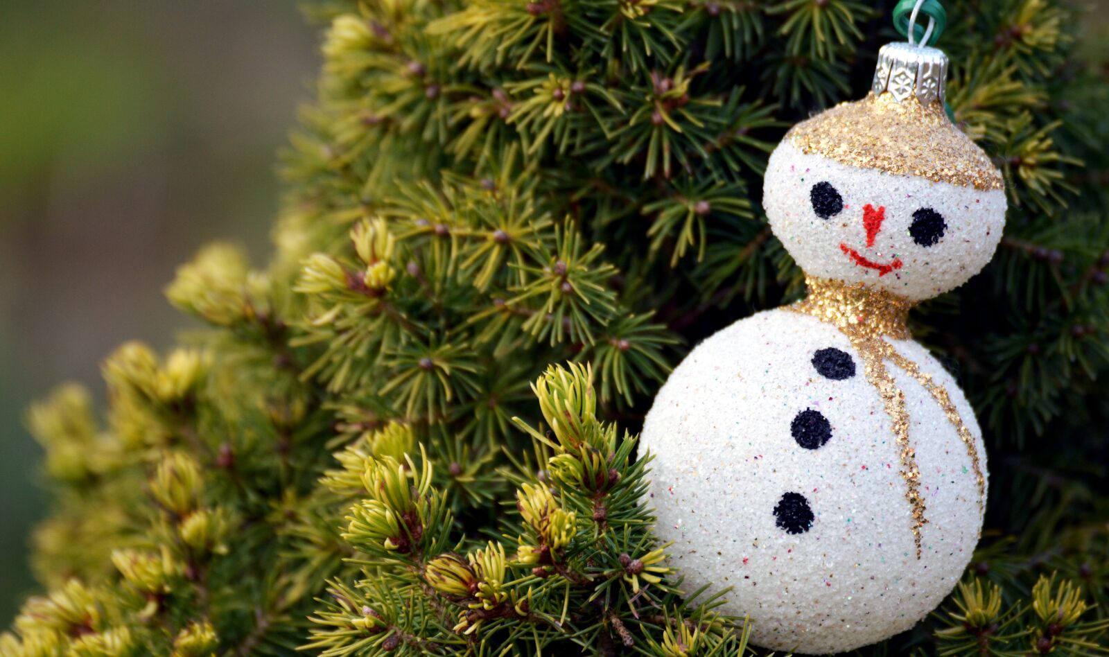 Nikon D3200 sample photo. Holidays, bauble, snowman photography