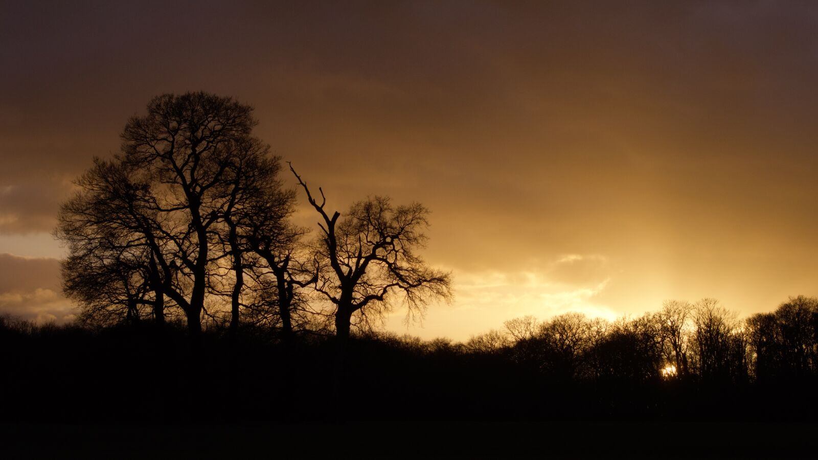 Nikon D7200 sample photo. Sunset, nature, tree photography