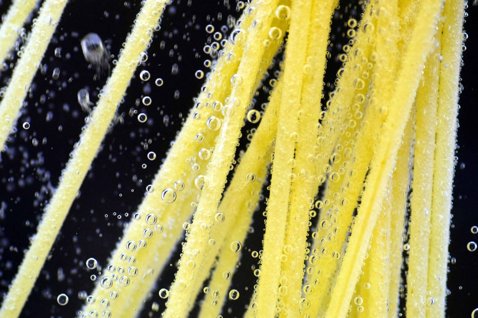 Nikon D3300 sample photo. Food, underwater, spaghetti, dough photography